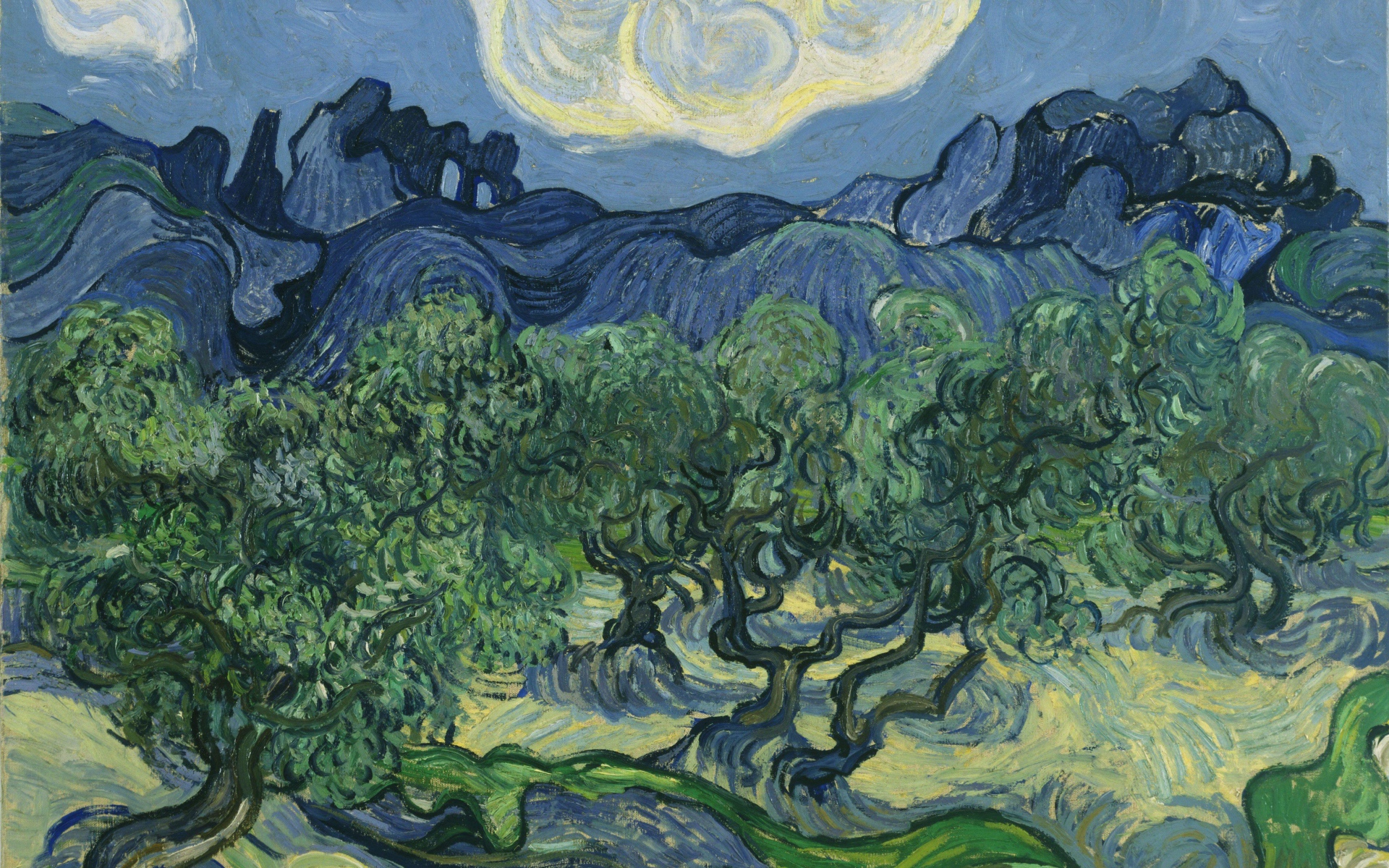 Картина Винсента Ван Гога - Оливковые деревья