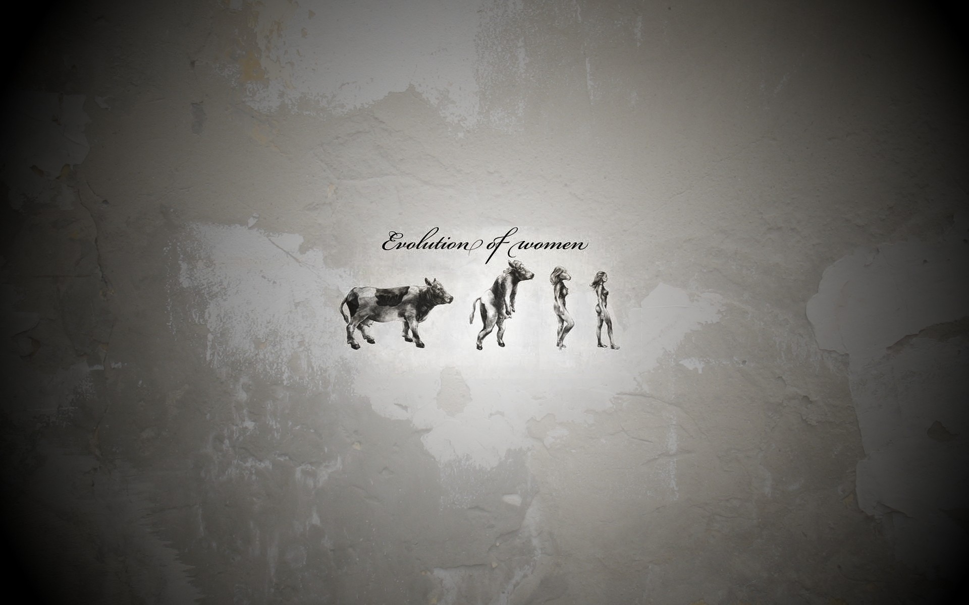 Эволюция женщины