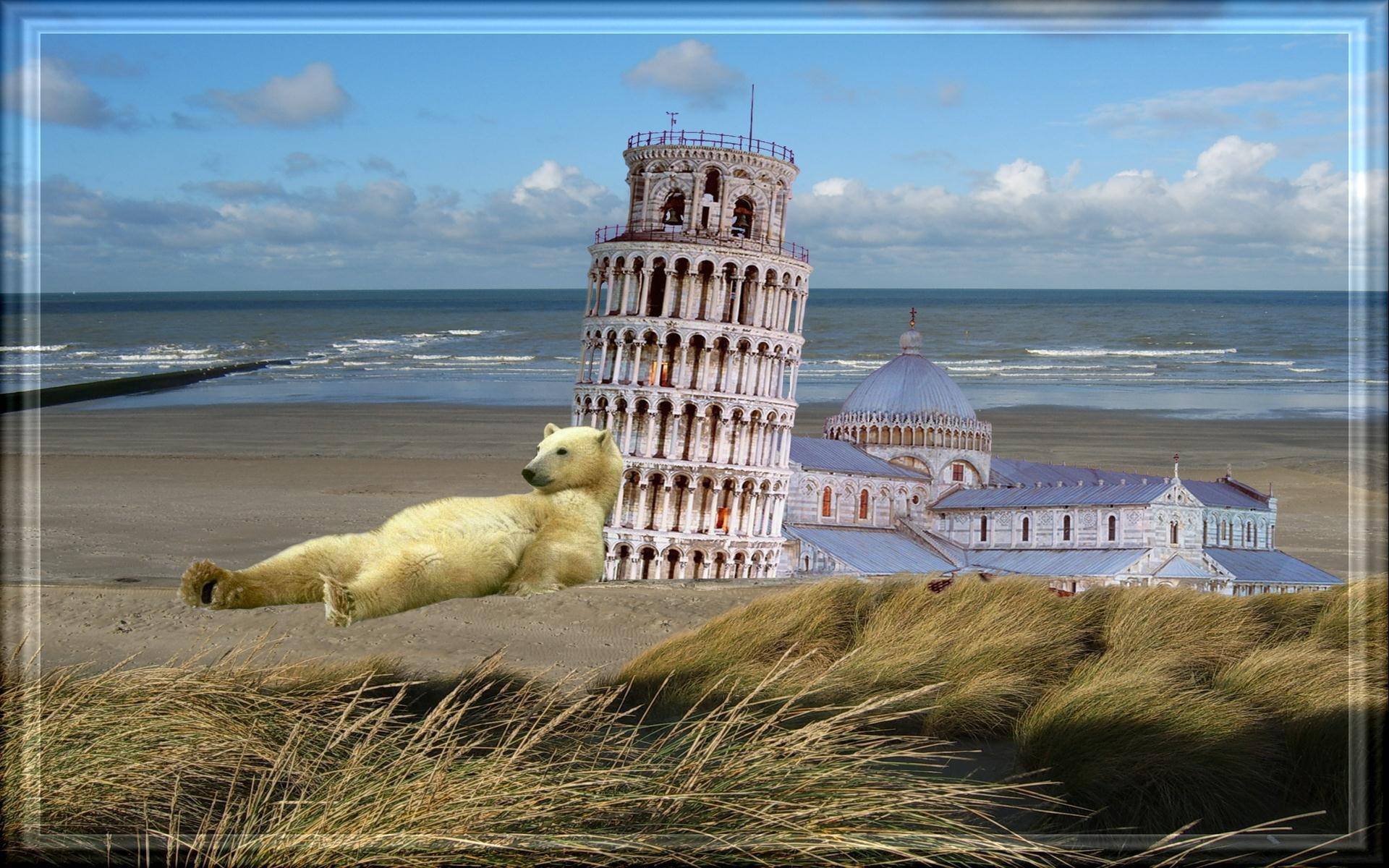 Белый медведь у Пизанской башни