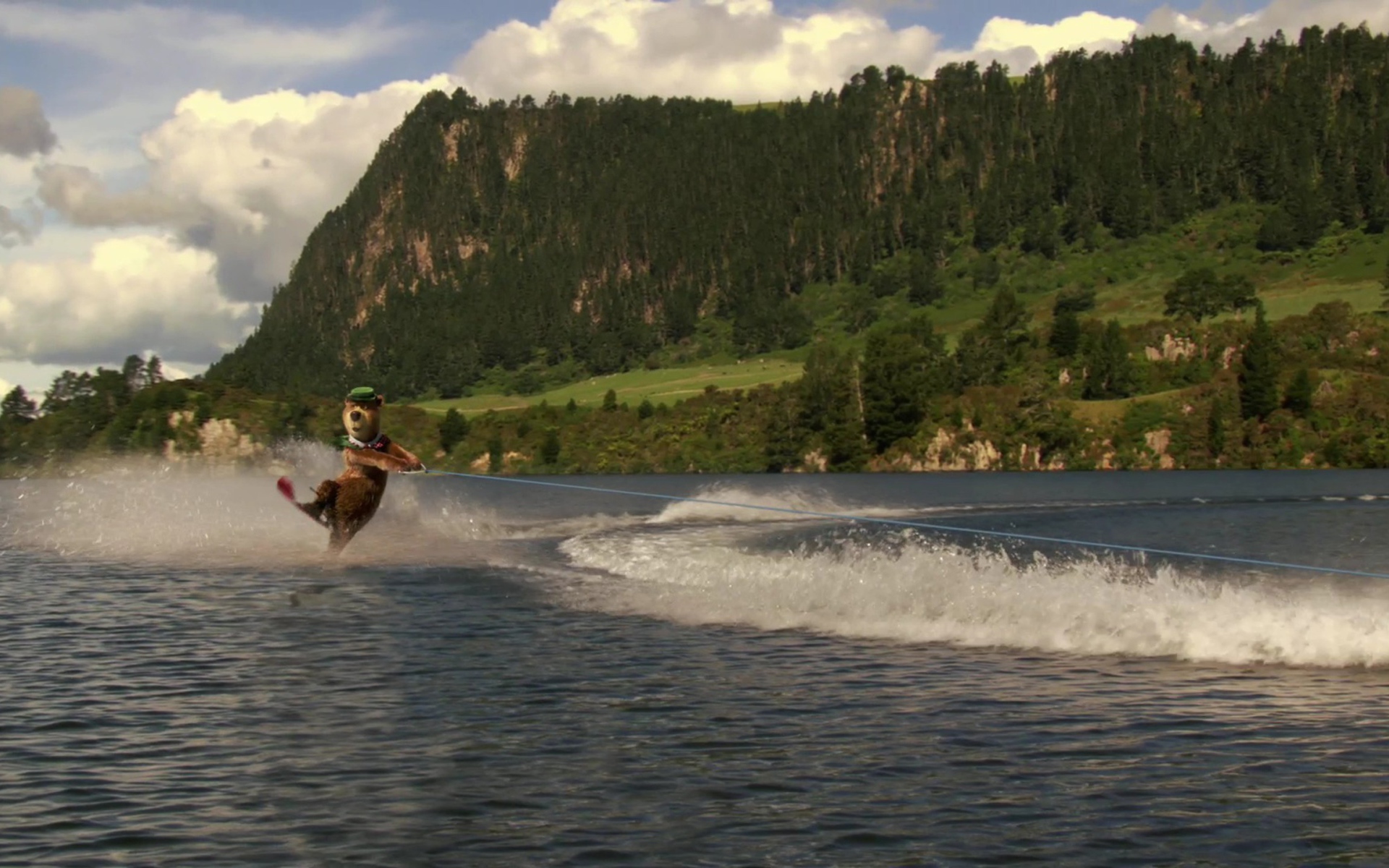 Медведь из мультфильма