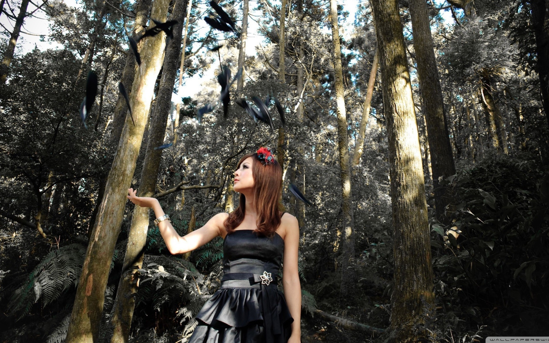 Девушка и черные перья