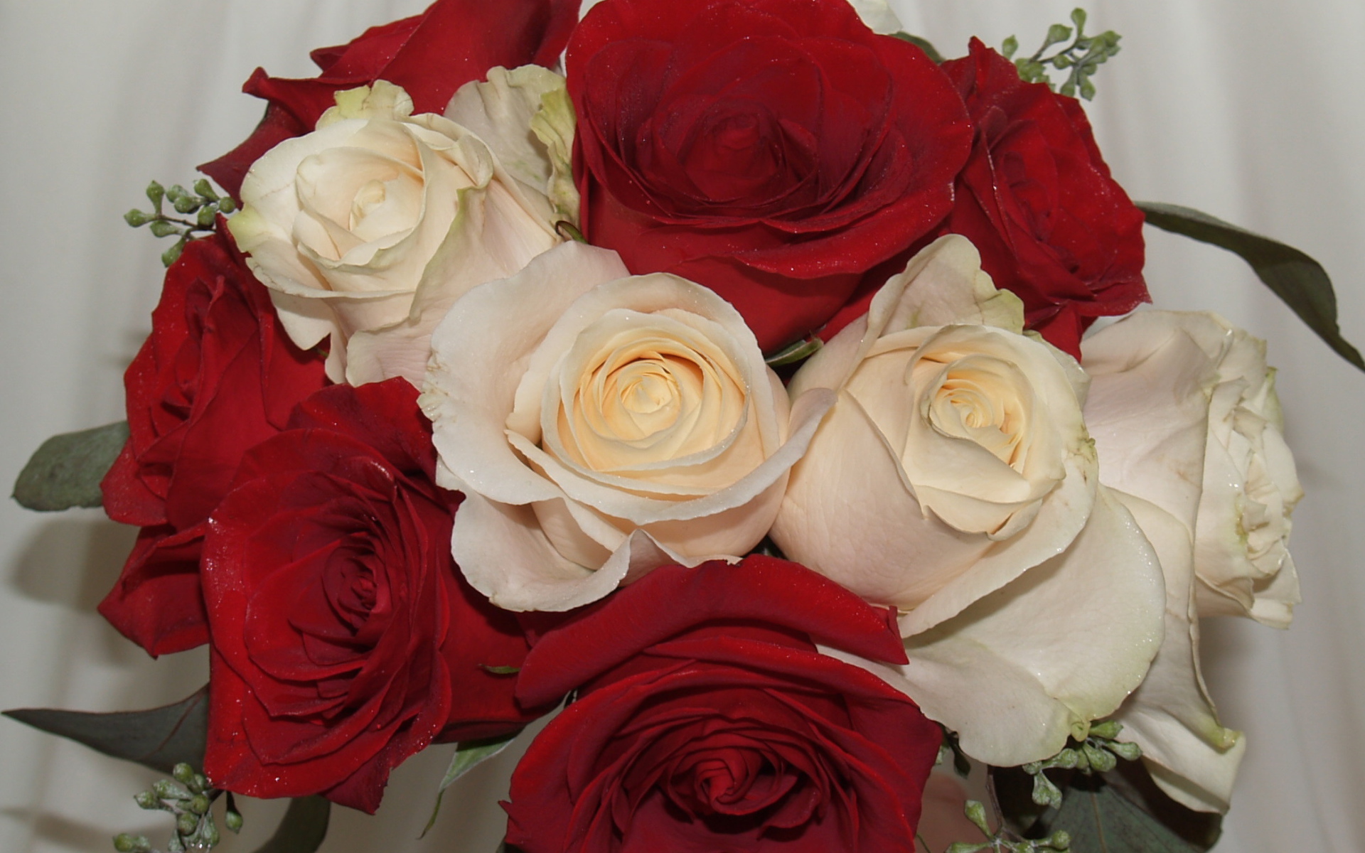 Красные розы на 8 марта с белыми розами