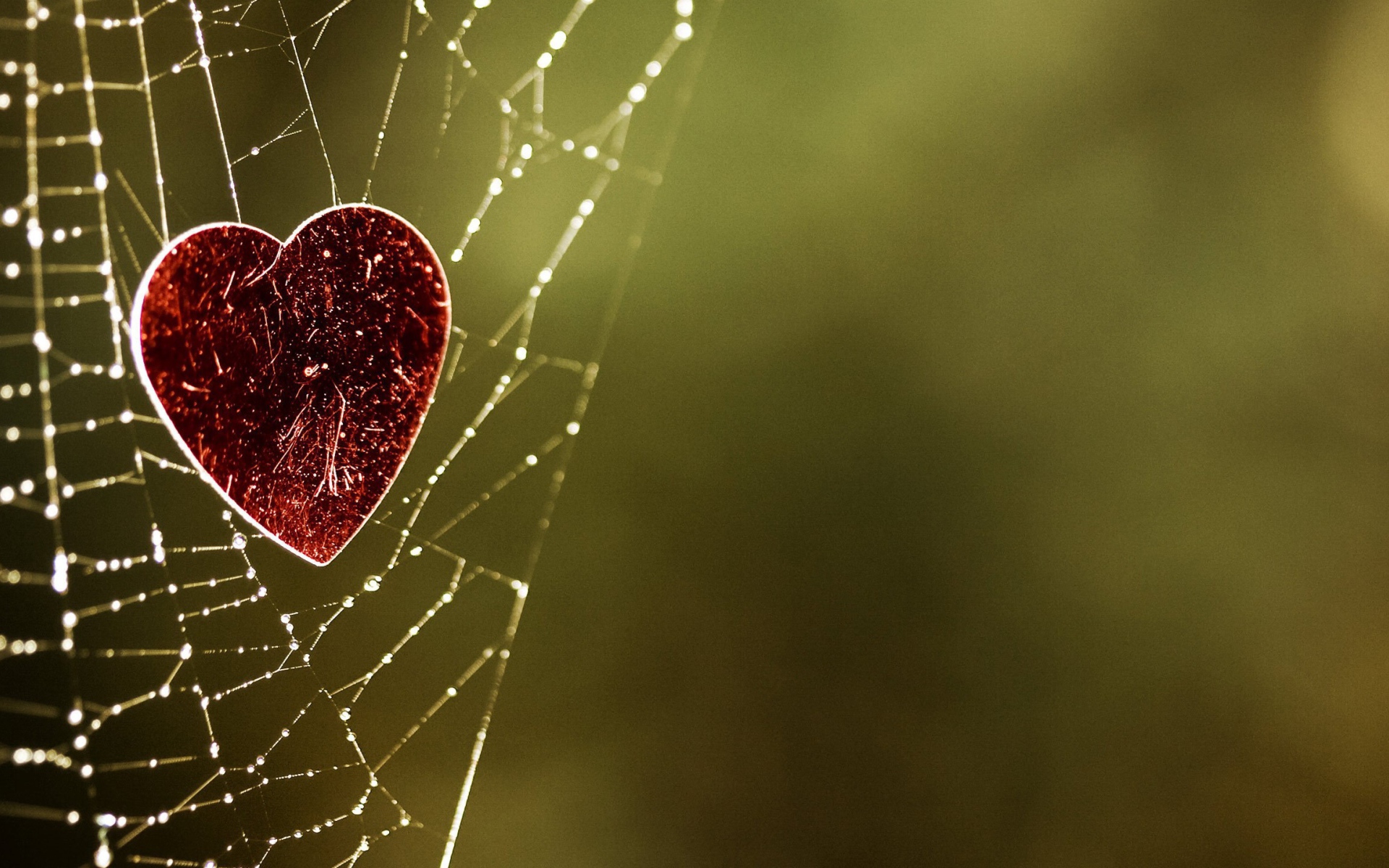 Сердечко на паутине