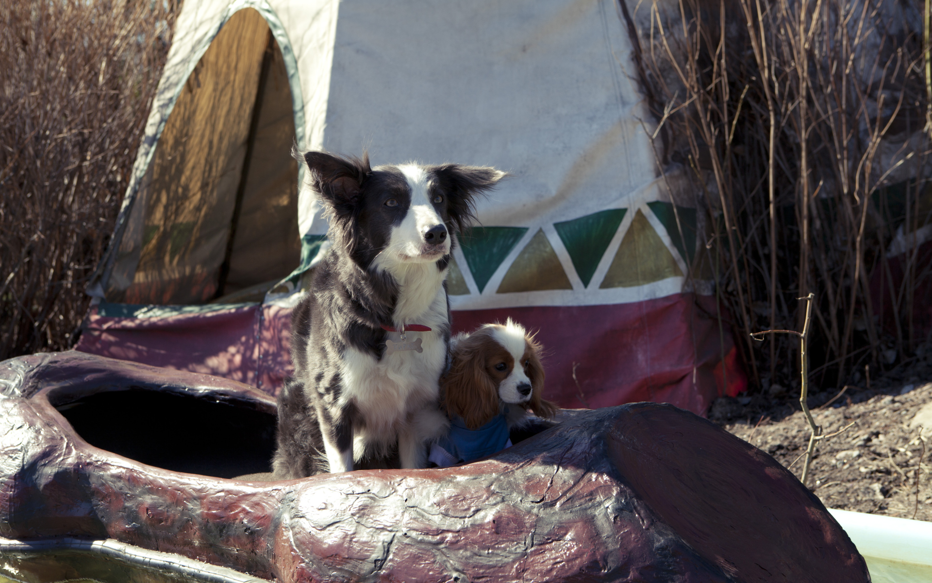 Герои фильма Ёлки лохматые 2014