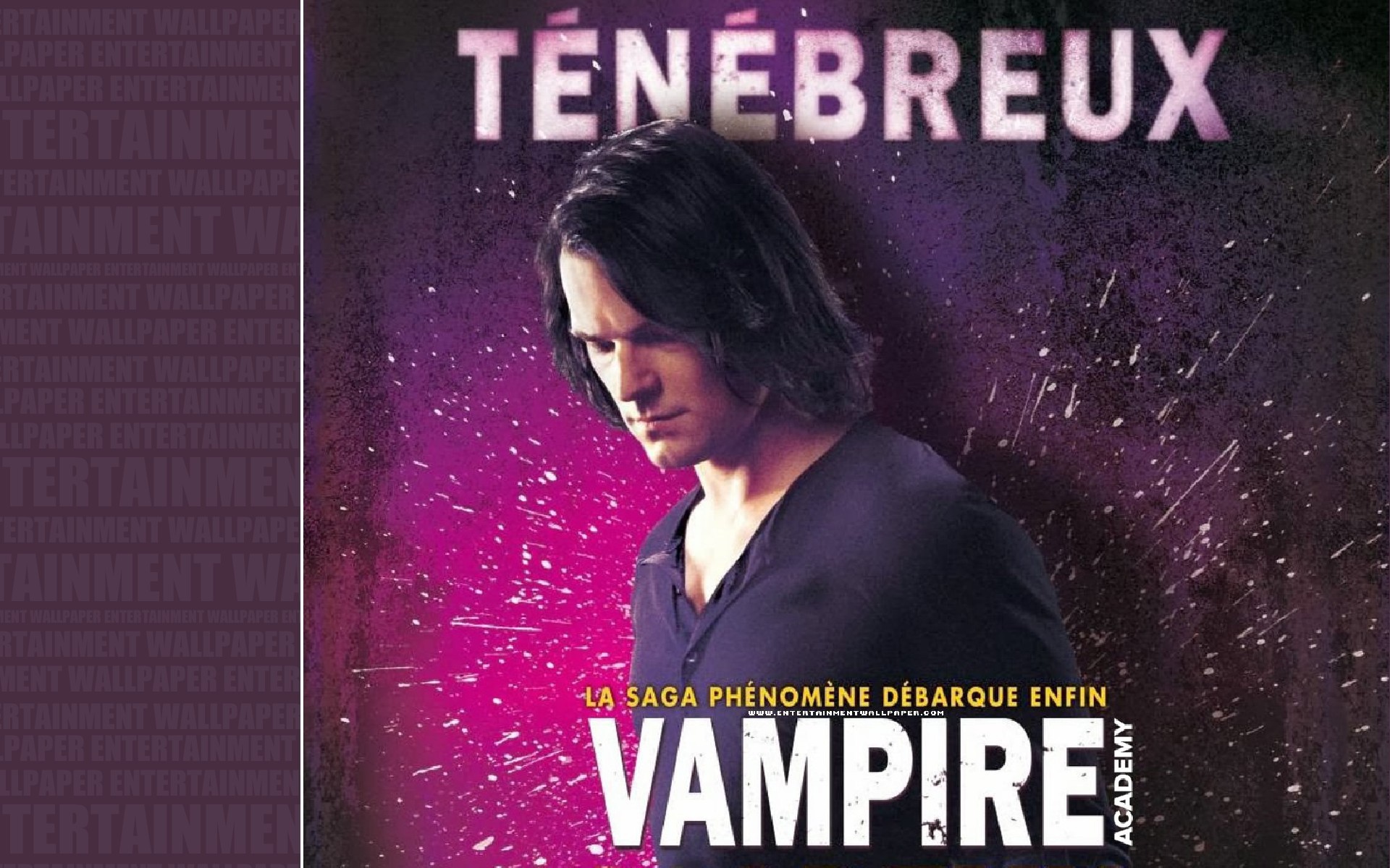 Интересный фильм Академия вампиров