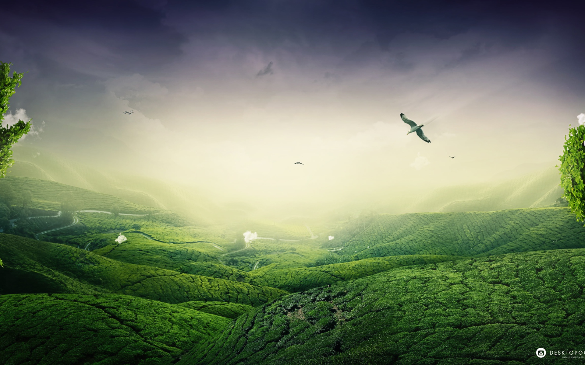 Зеленый пейзаж