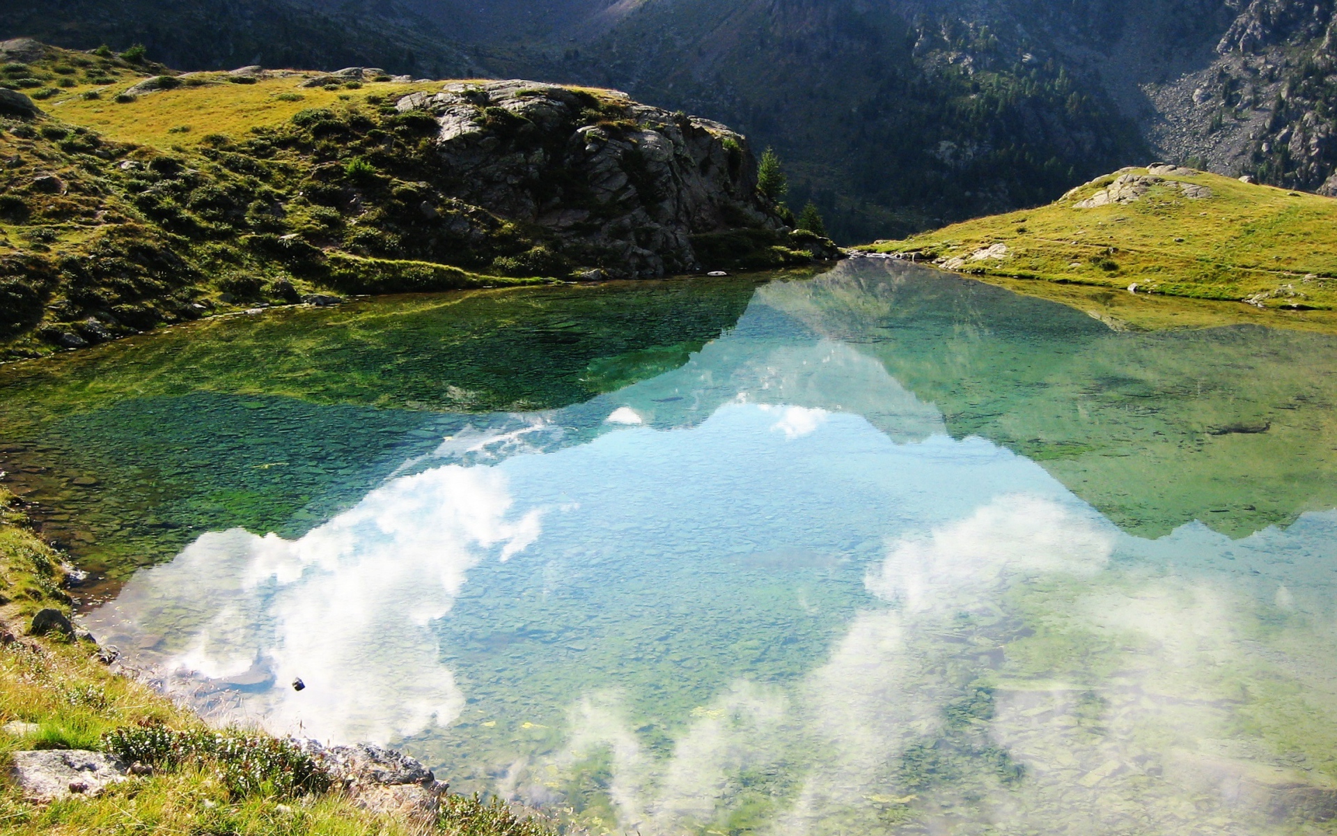 Размышления природы