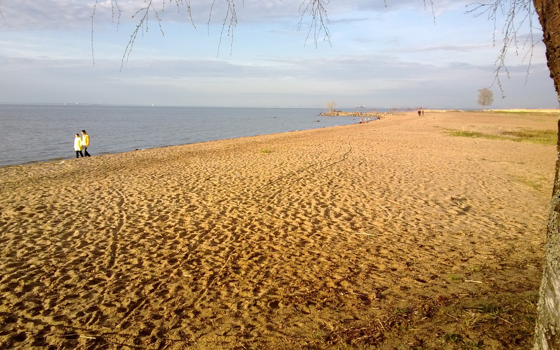 Красивый вид на золотой пляж
