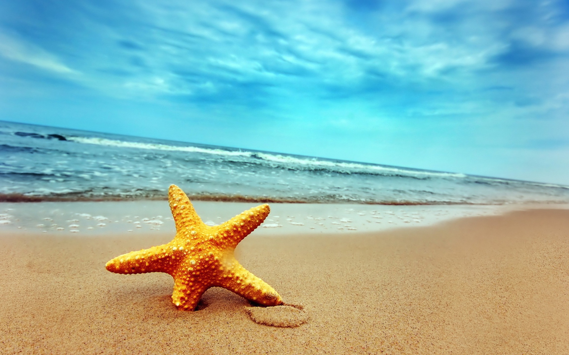 Морская звезда в песке пляжа