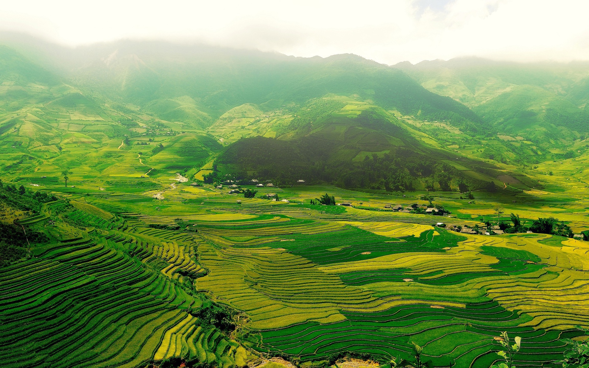 Зеленые поля в горной долине