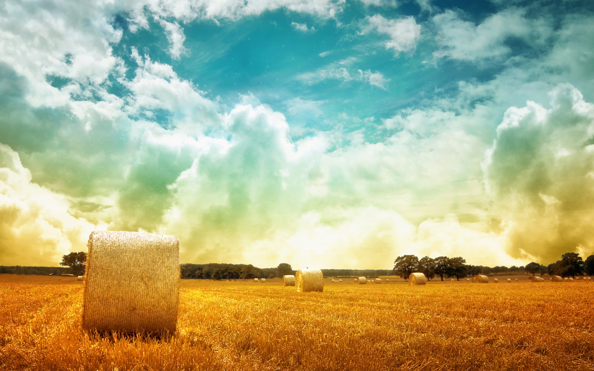 Скошенное поле