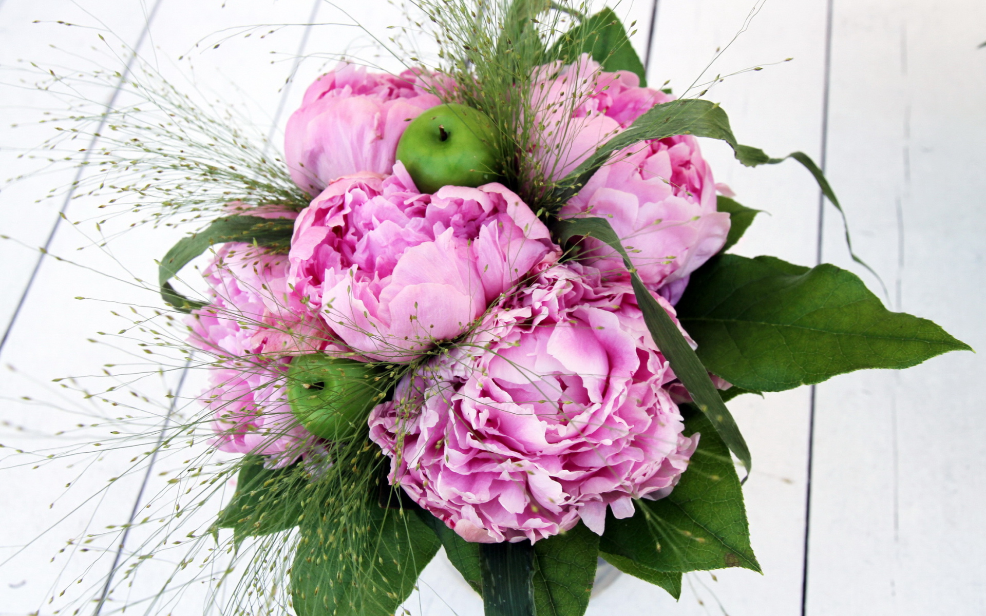 Красивые цветы пионы