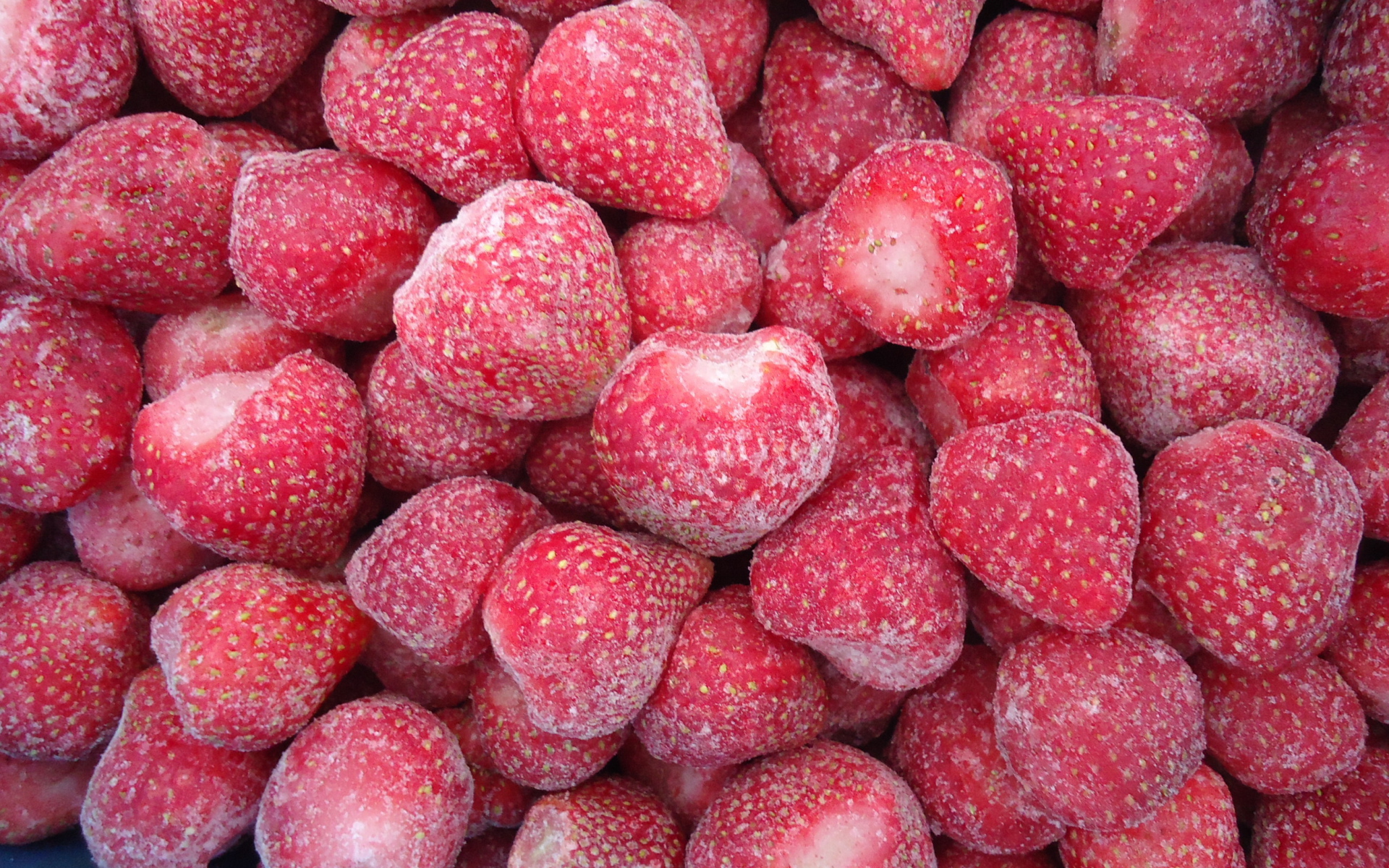 Плоды растения восковник