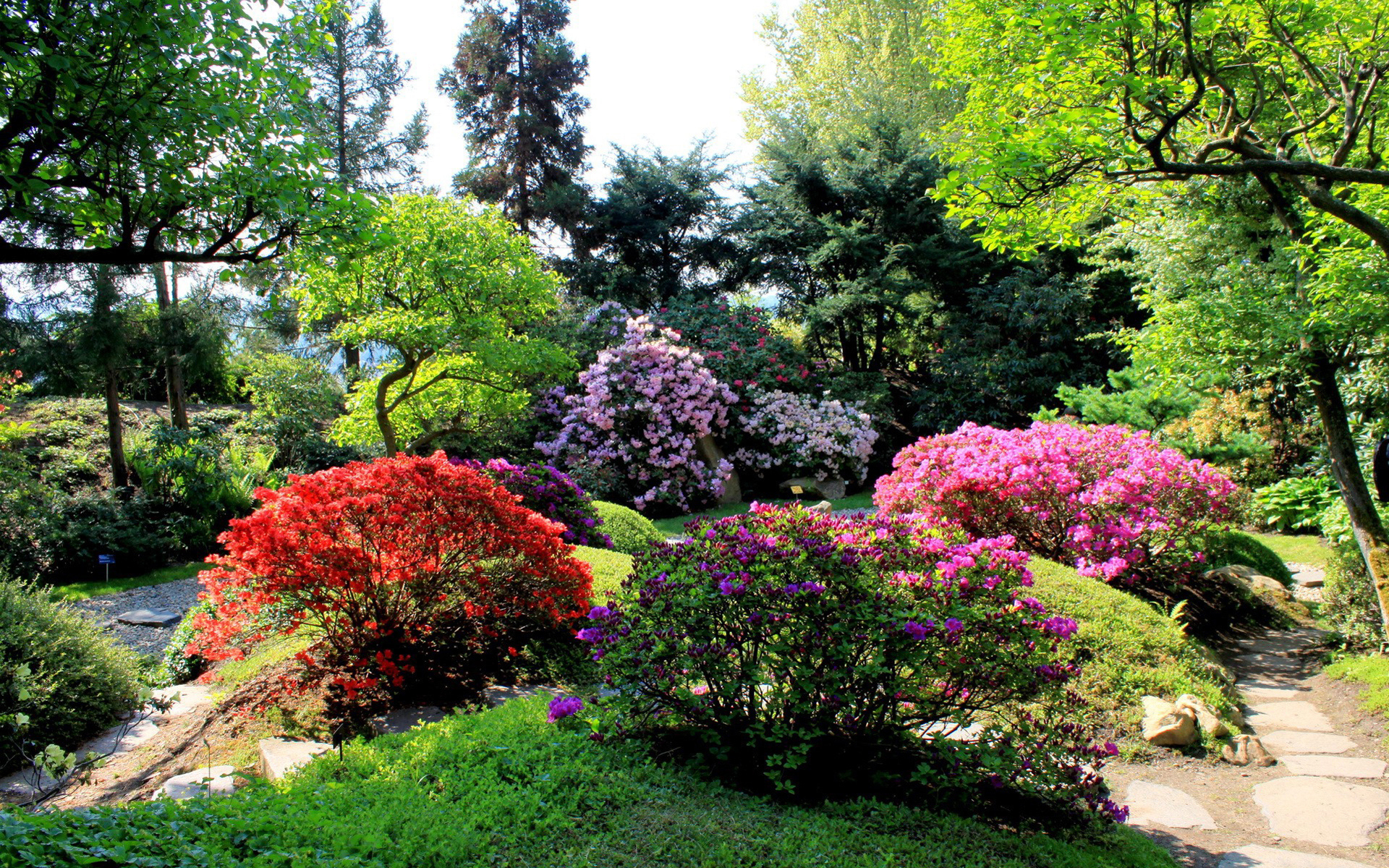 Аллея в парке