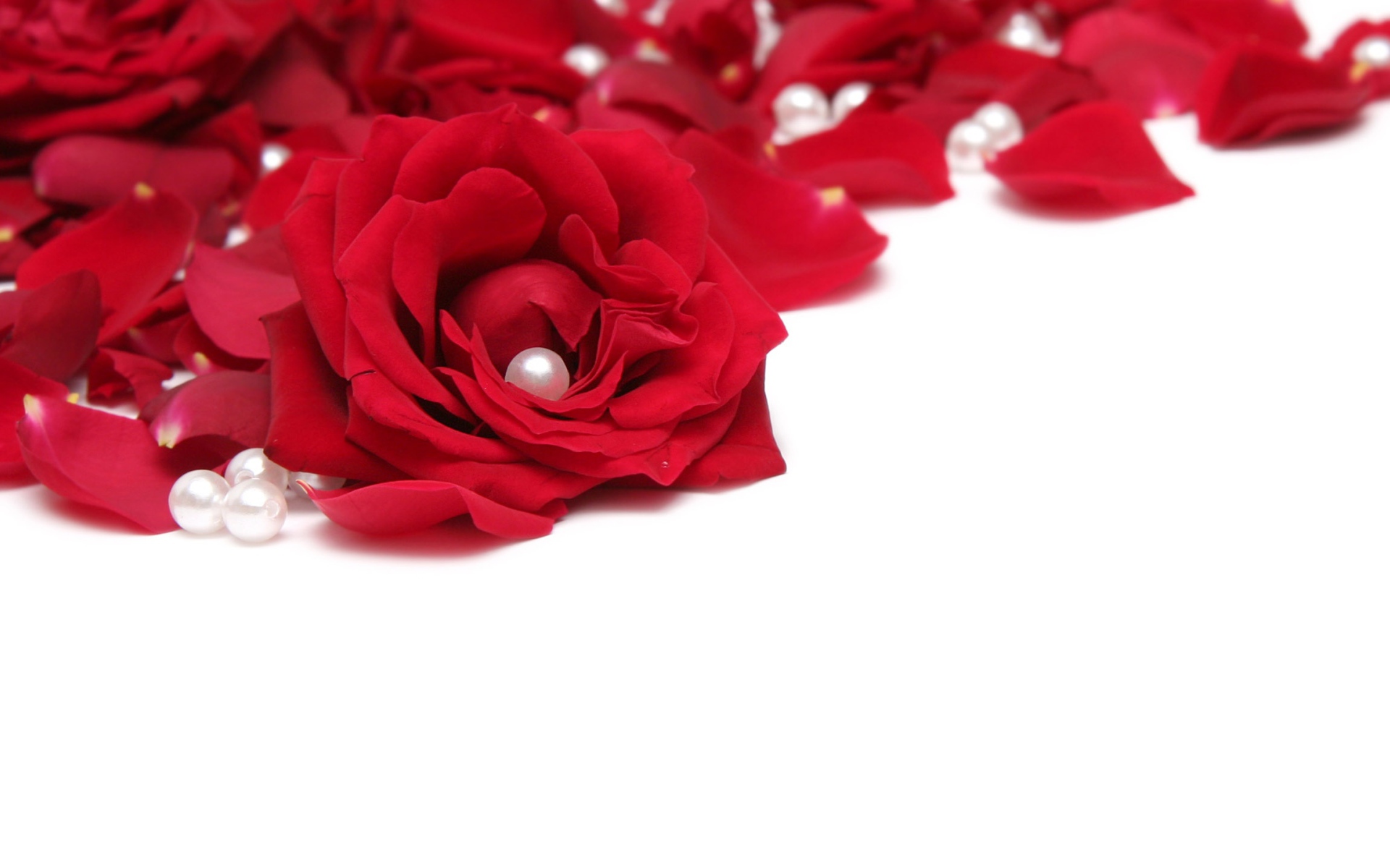 Розы и жемчуг