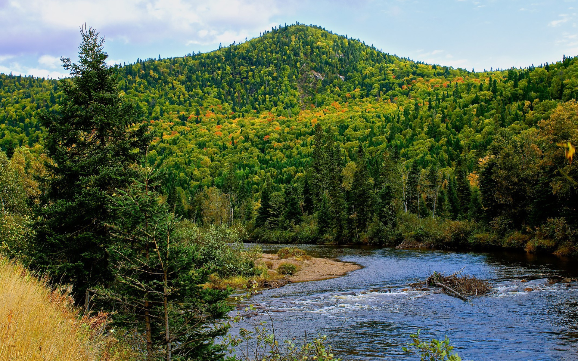 Гора покрытая лесом