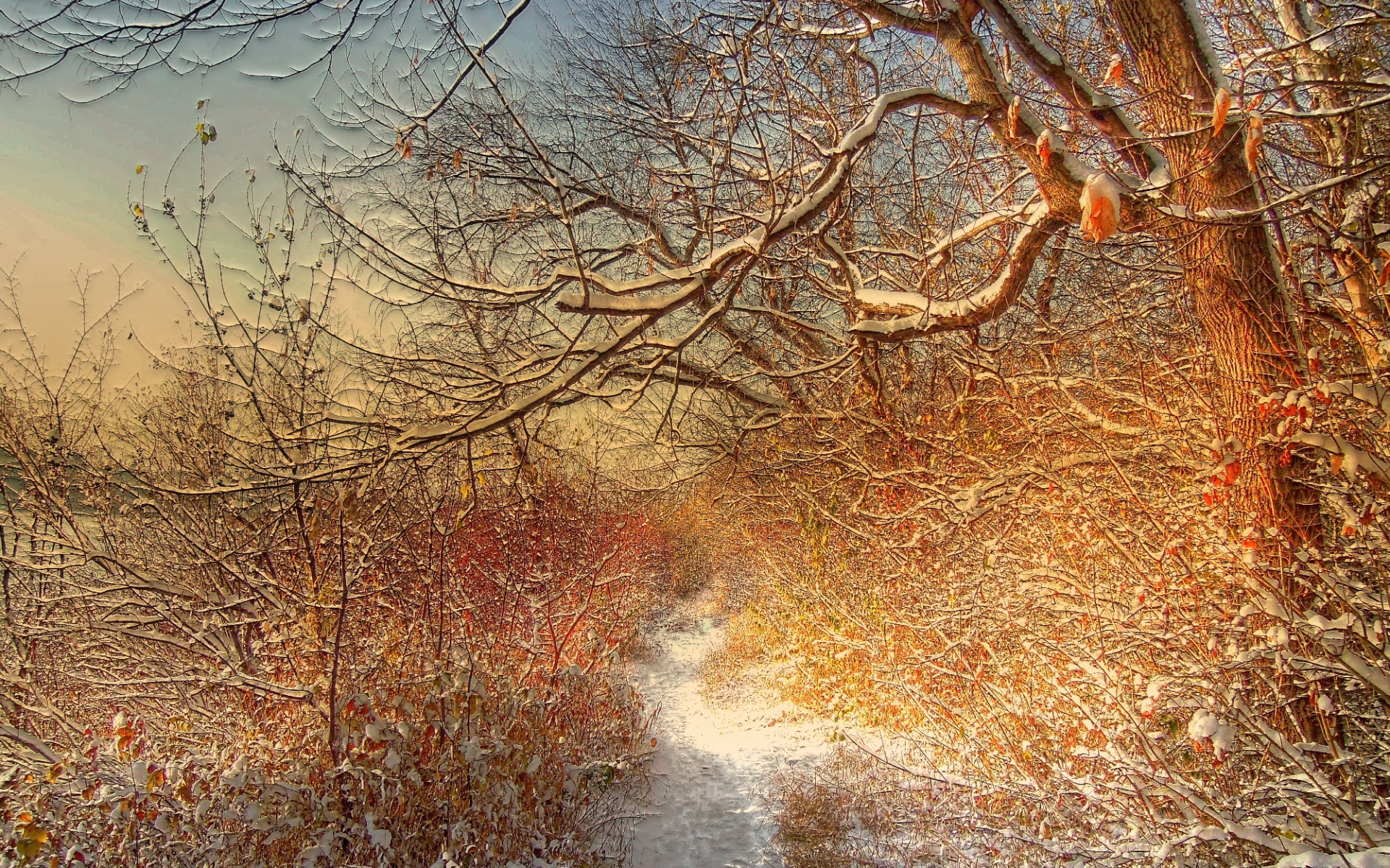 Зимняя дорожка через лес