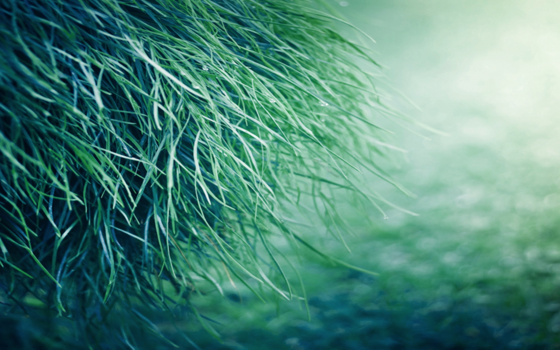 Только трава