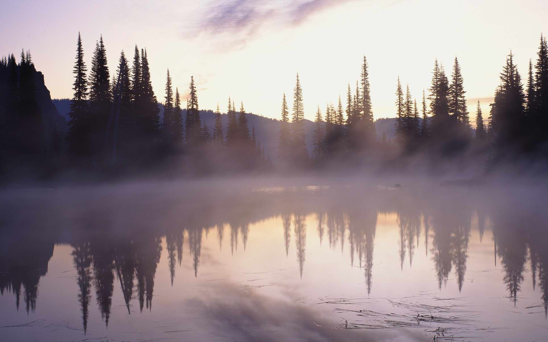 Туман над озером