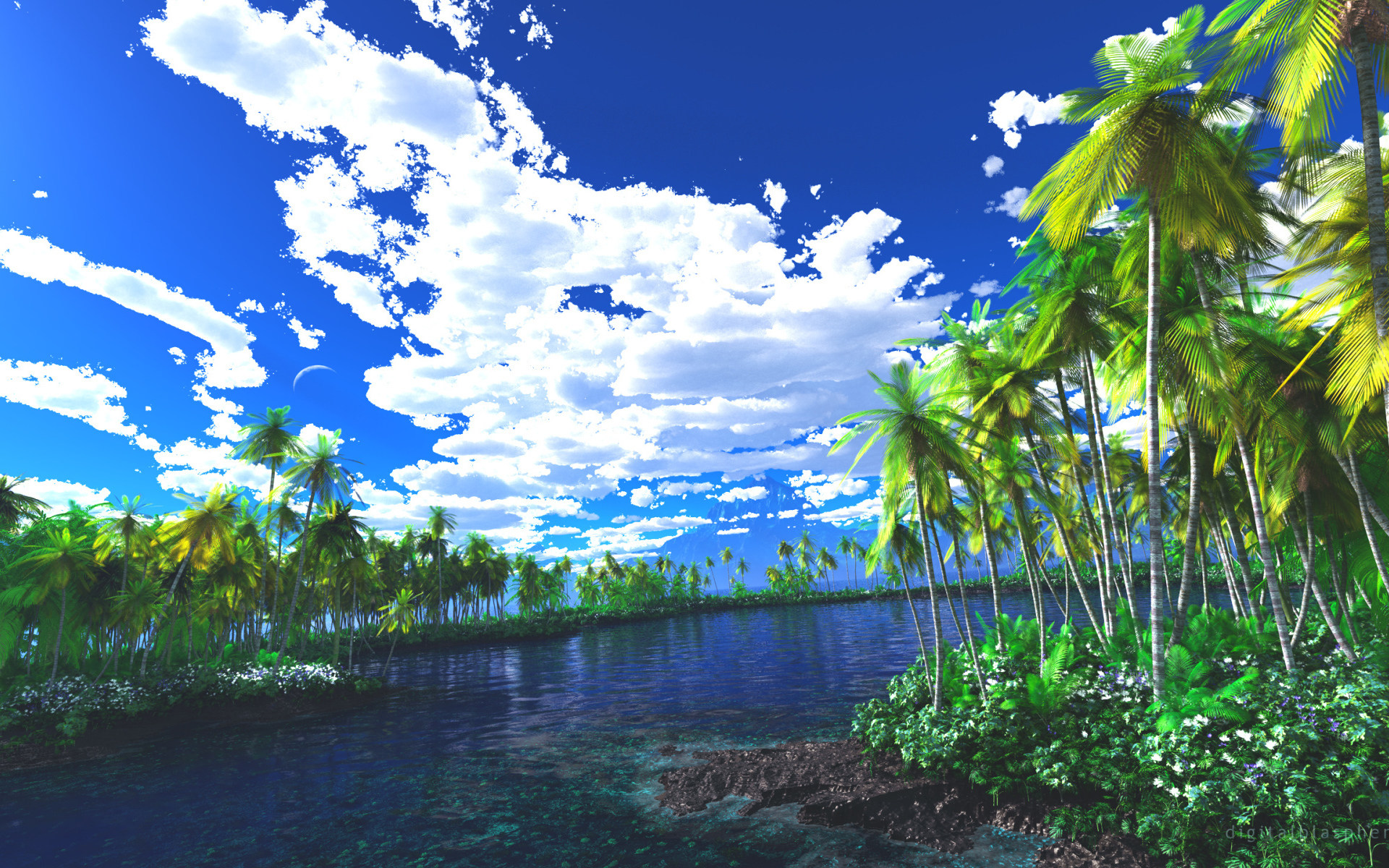 Лагуна заросшая пальмами