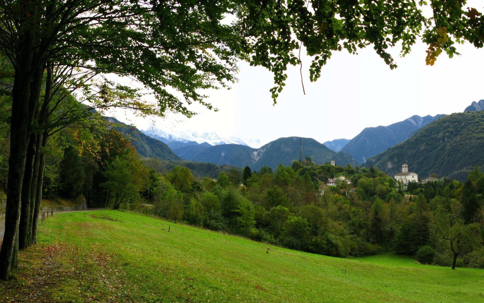 Красивая весенняя поляна