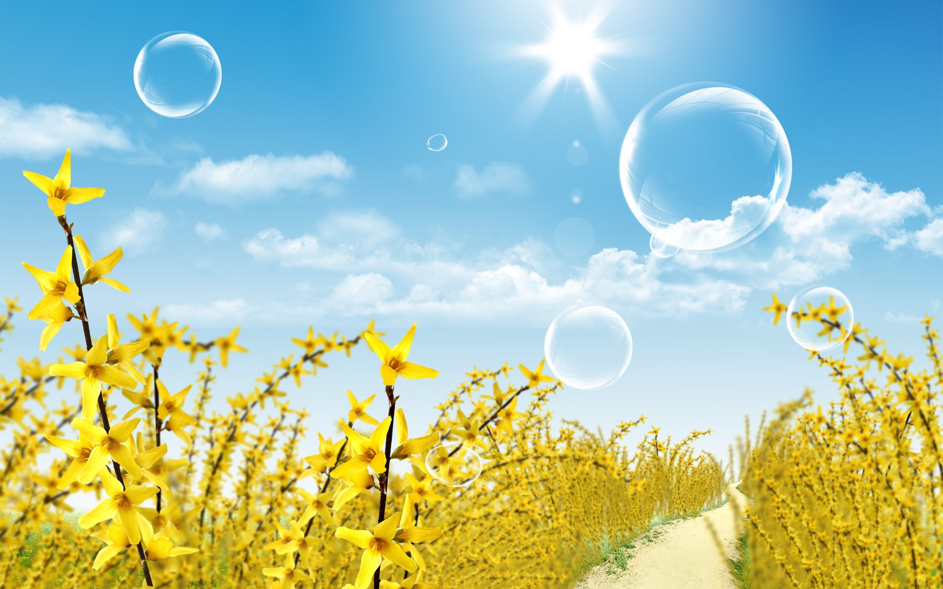 Цветы и воздушные шары под летним солнцем