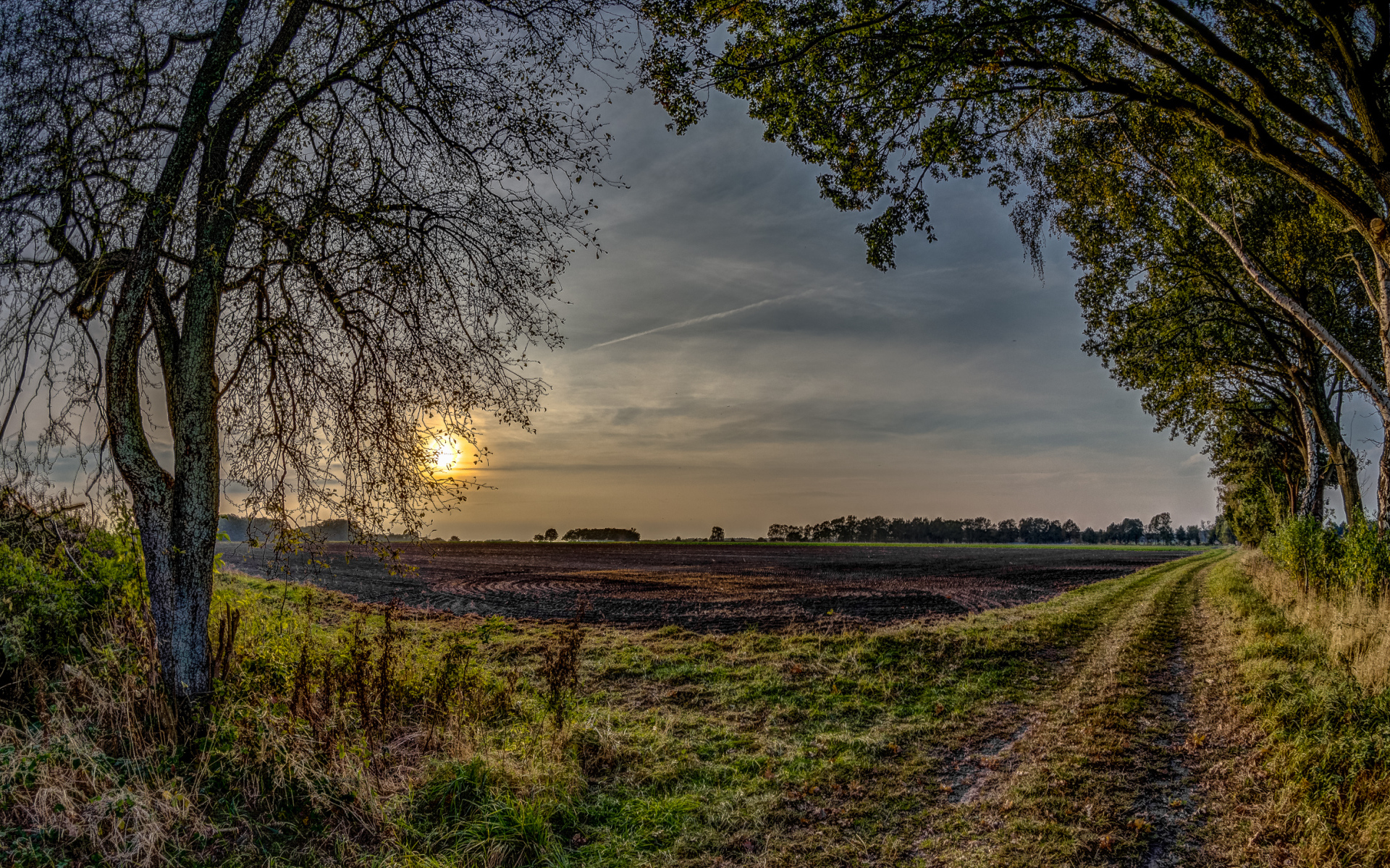 Убранное поле перед закатом