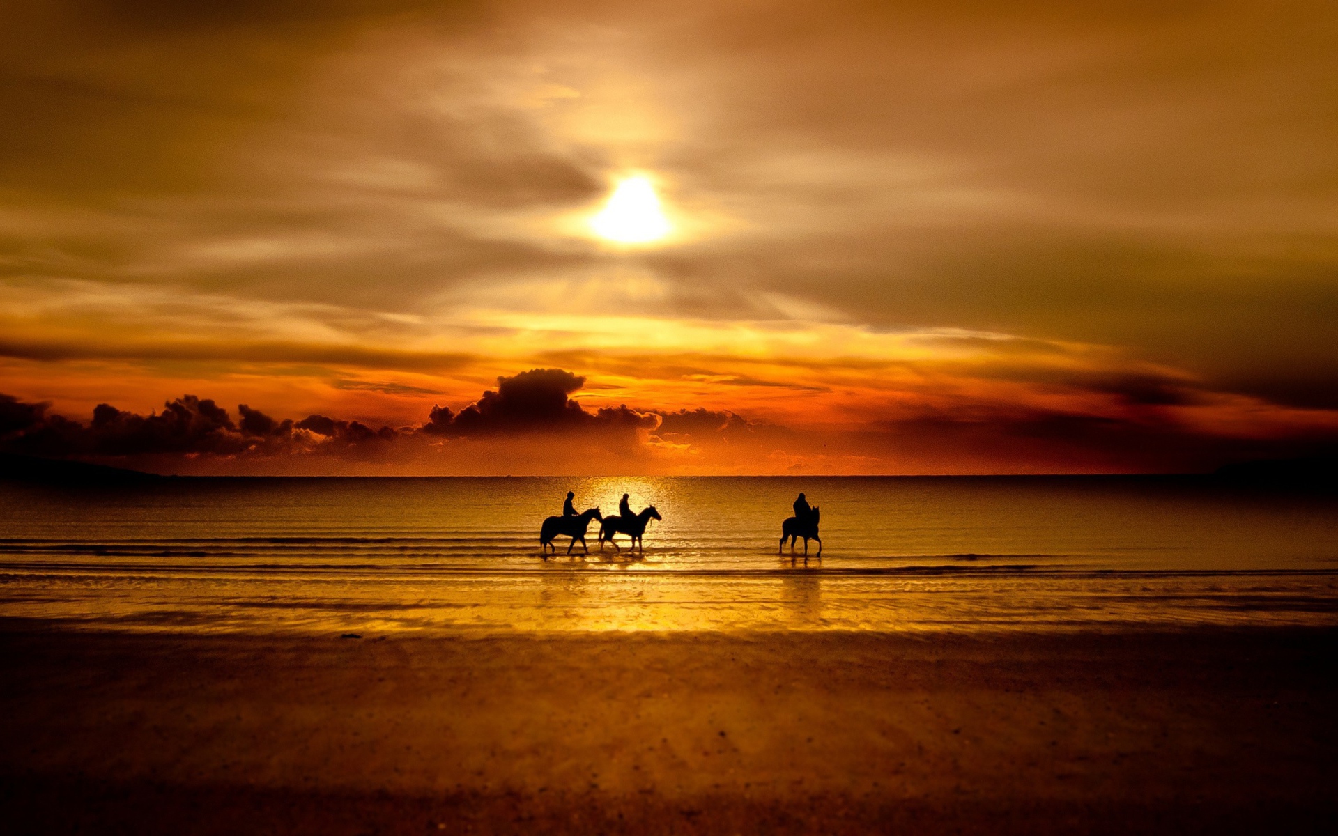 Катание на лошадях по пляжу