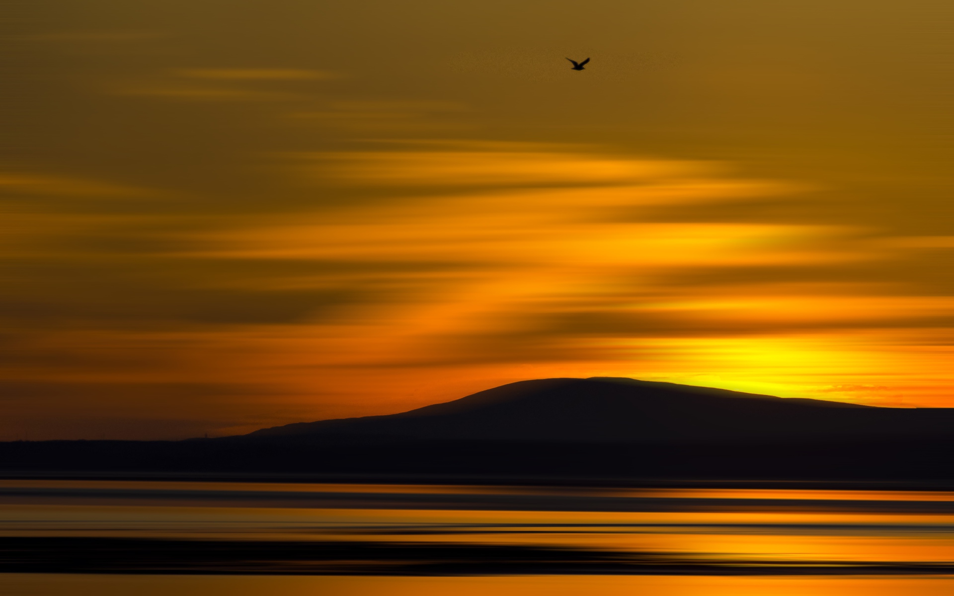 Птица летит на закате