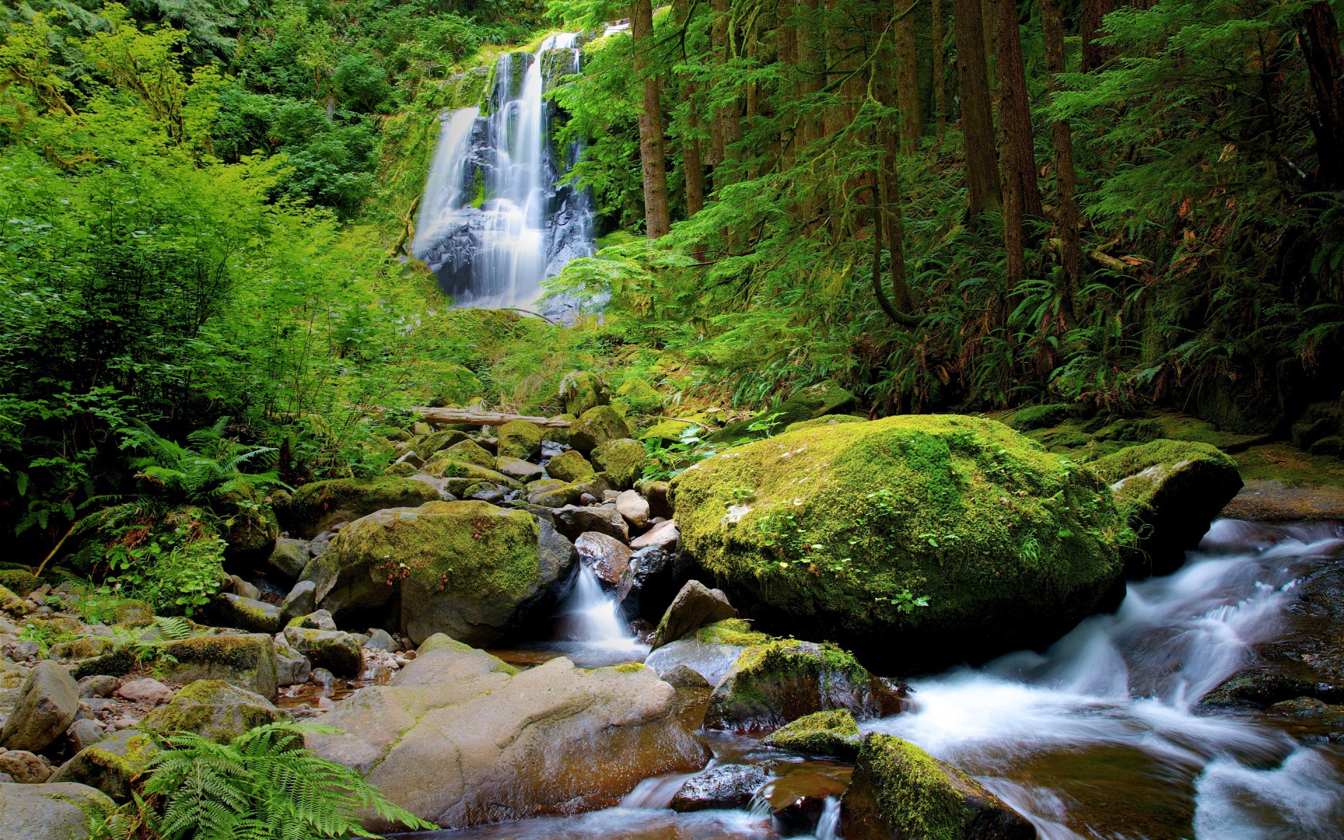 Водопад в густом лесу