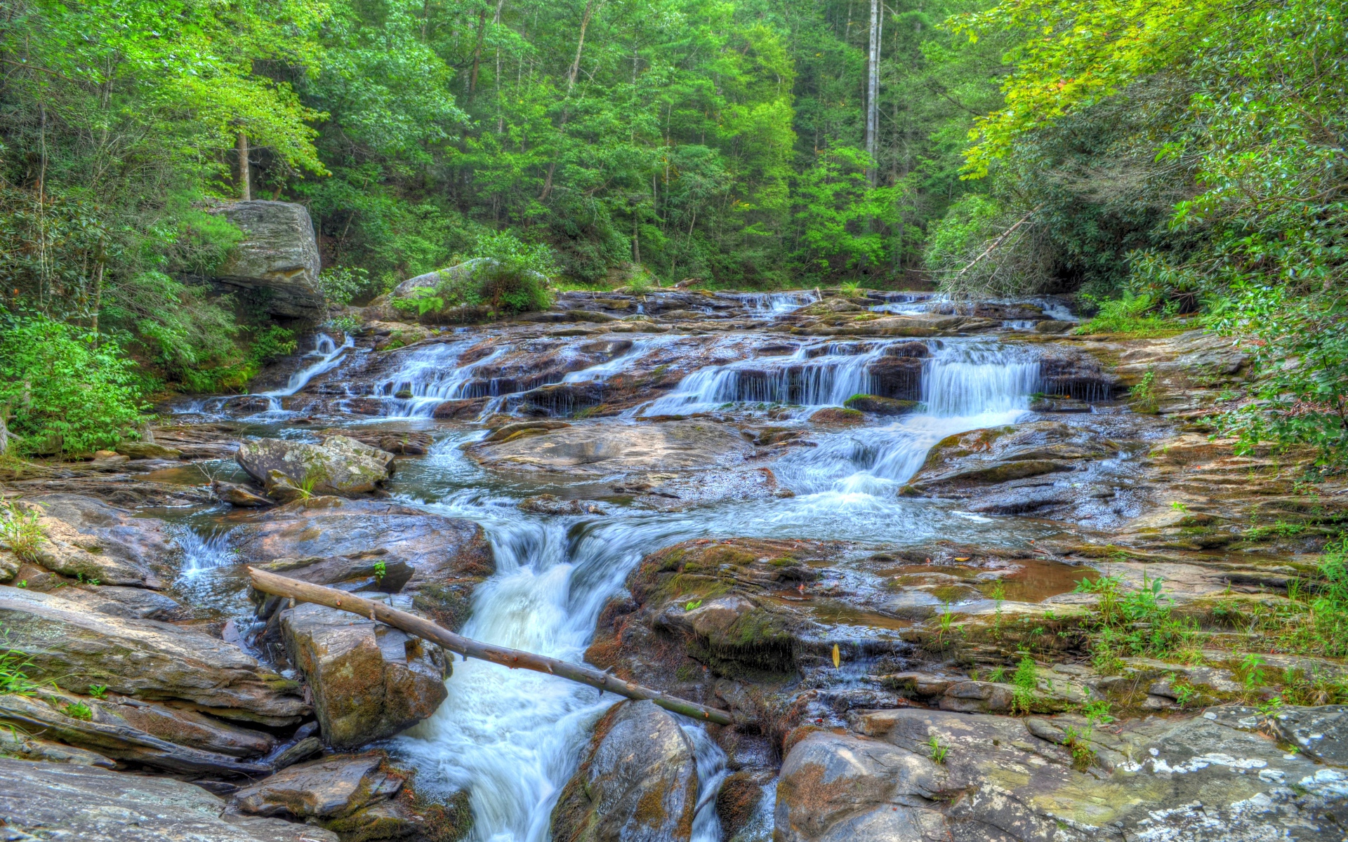 Водопад на лесной речушке