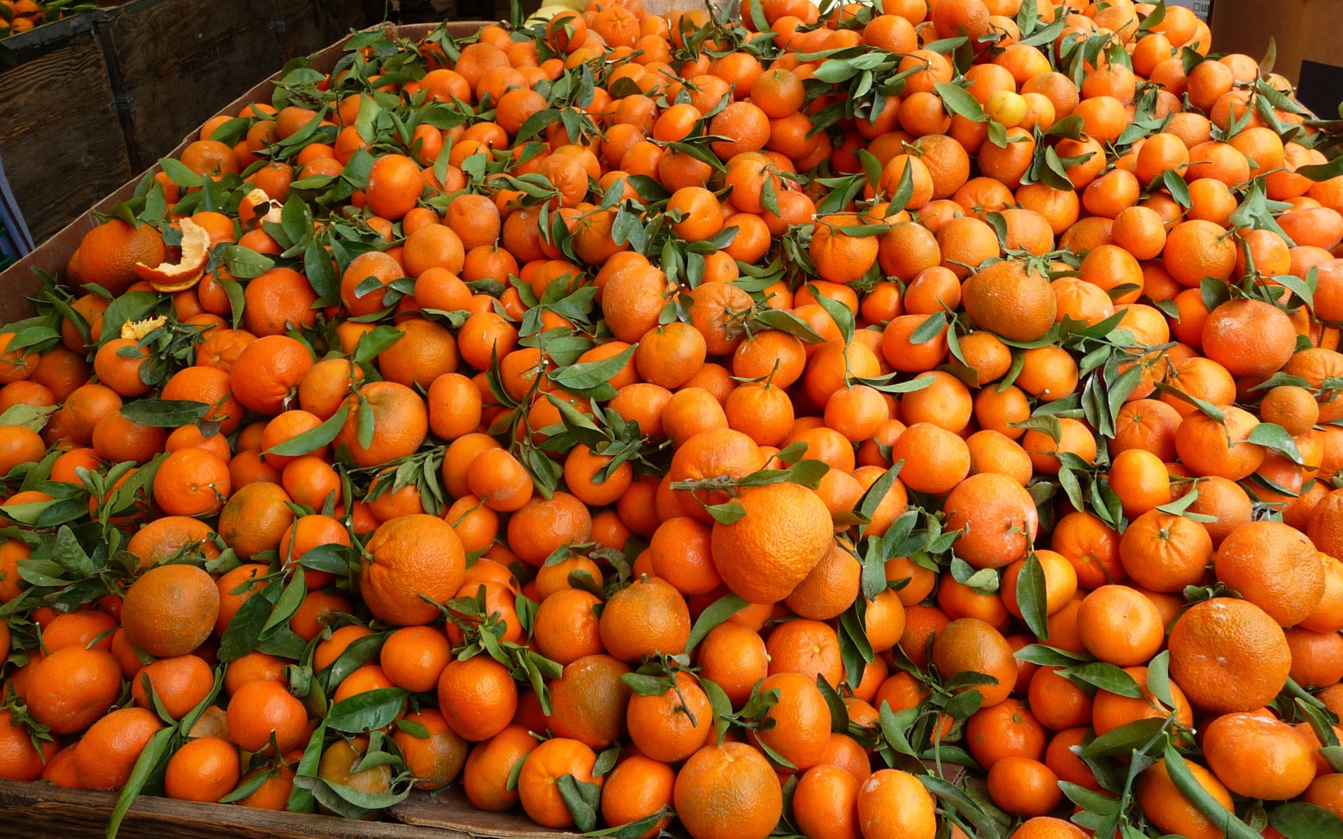 Мандариновый фон