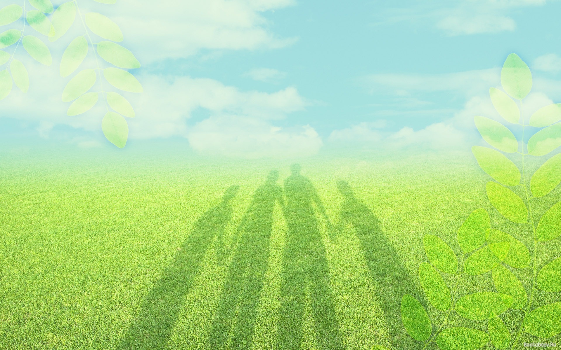 Тень семьи на траве