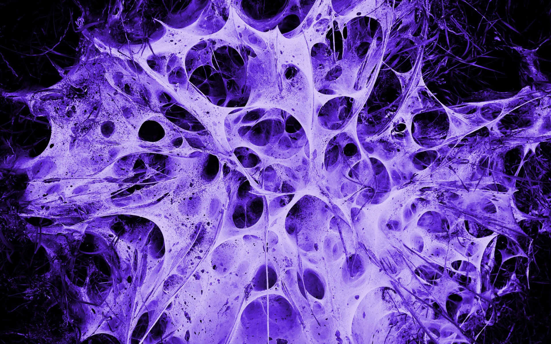 Пористая структура