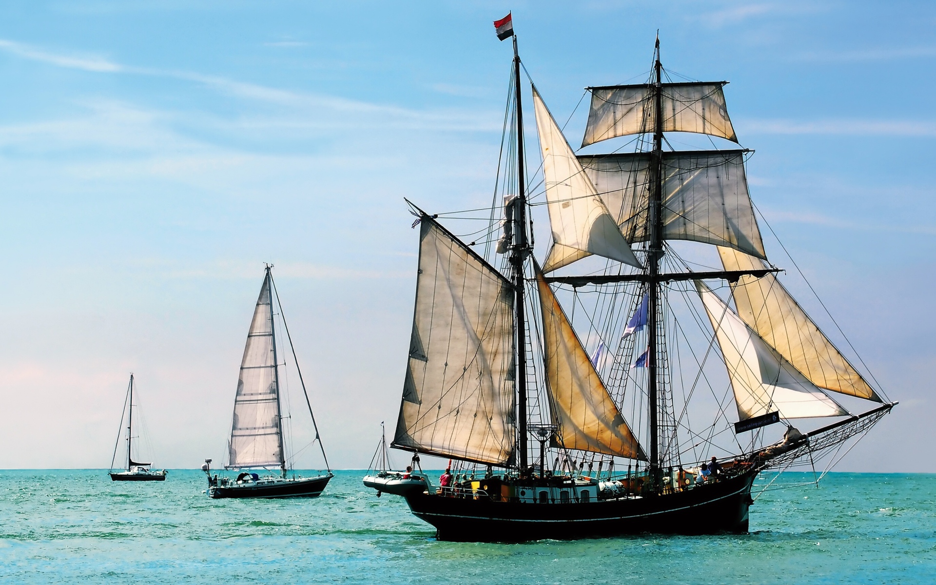 Плеяда парусников в море