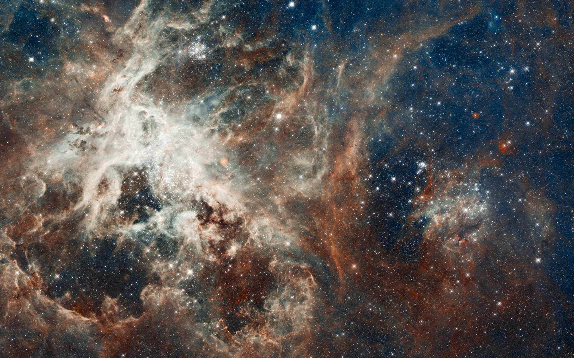 Созвездие Золотая рыба