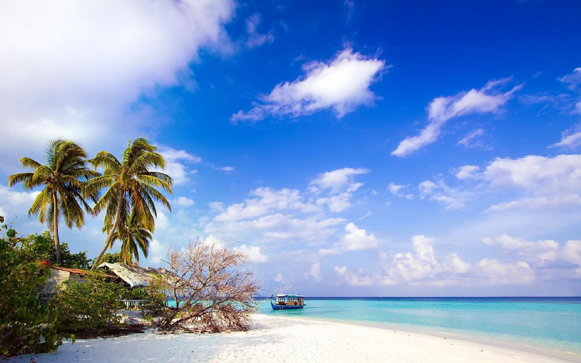 Природа острова Бали