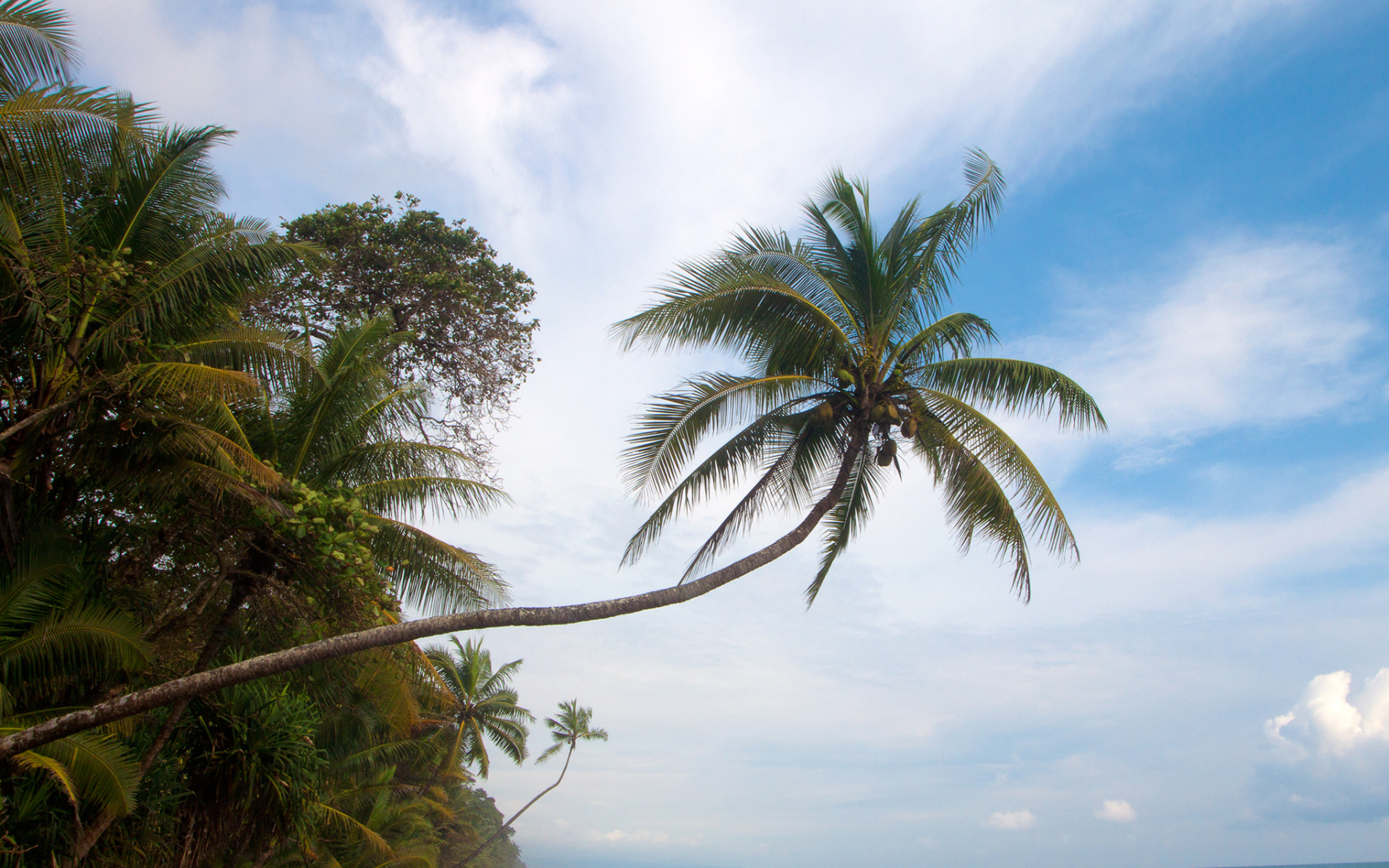 Великое Коста-Рика