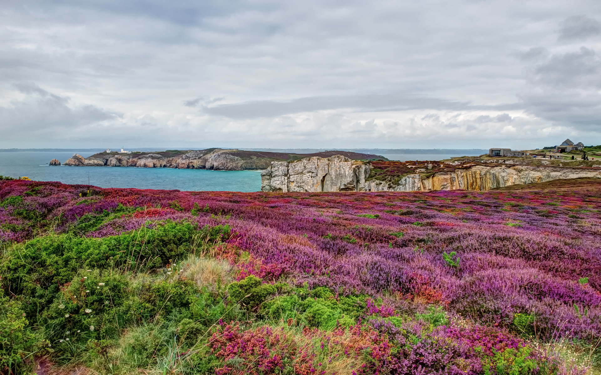Цветущие поля в Бретань, Франция