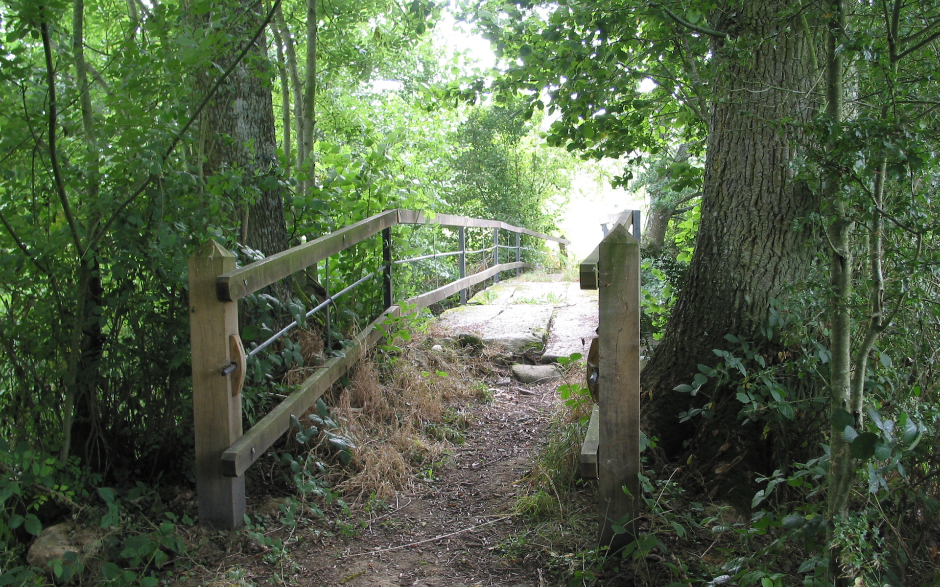 Лесная тропа в Нормандии, Франция