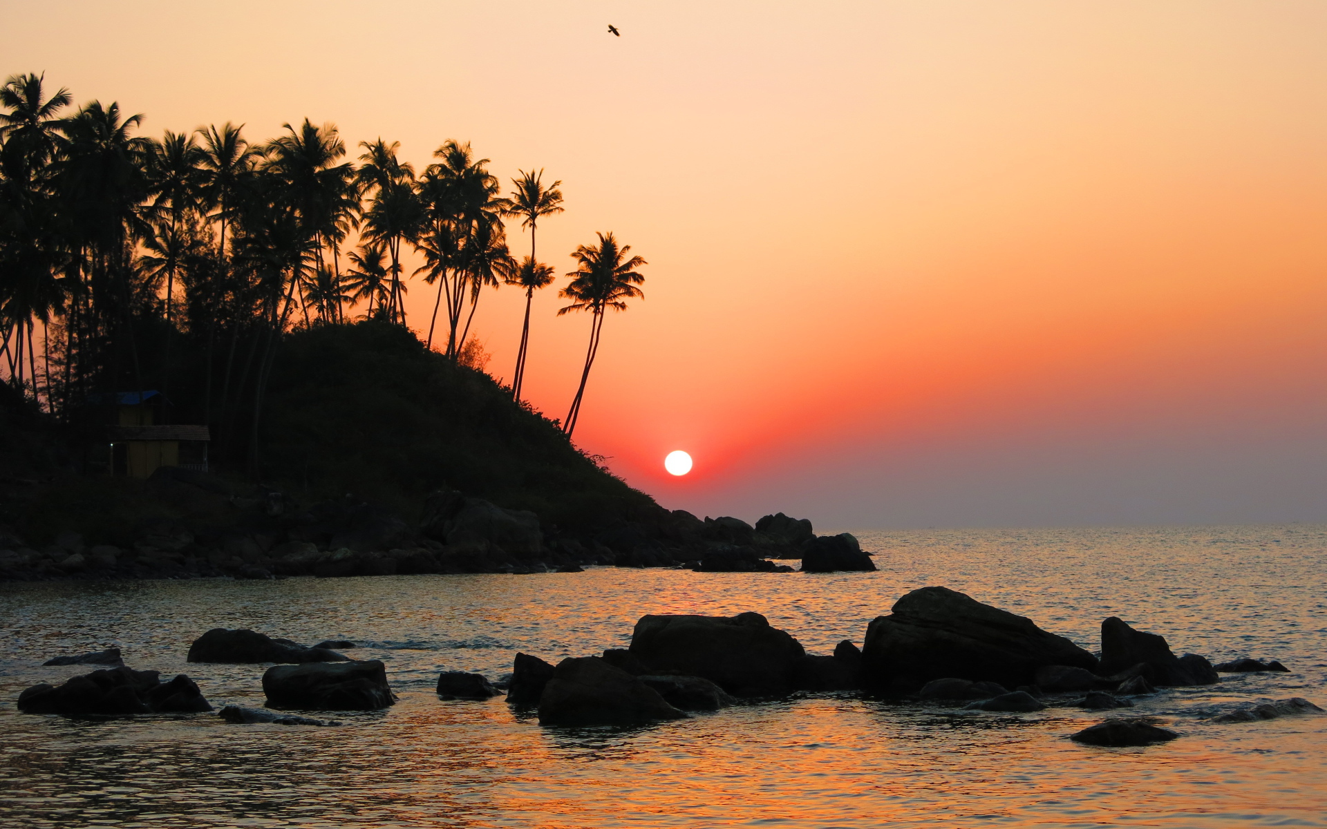 Вечер в Арамболе