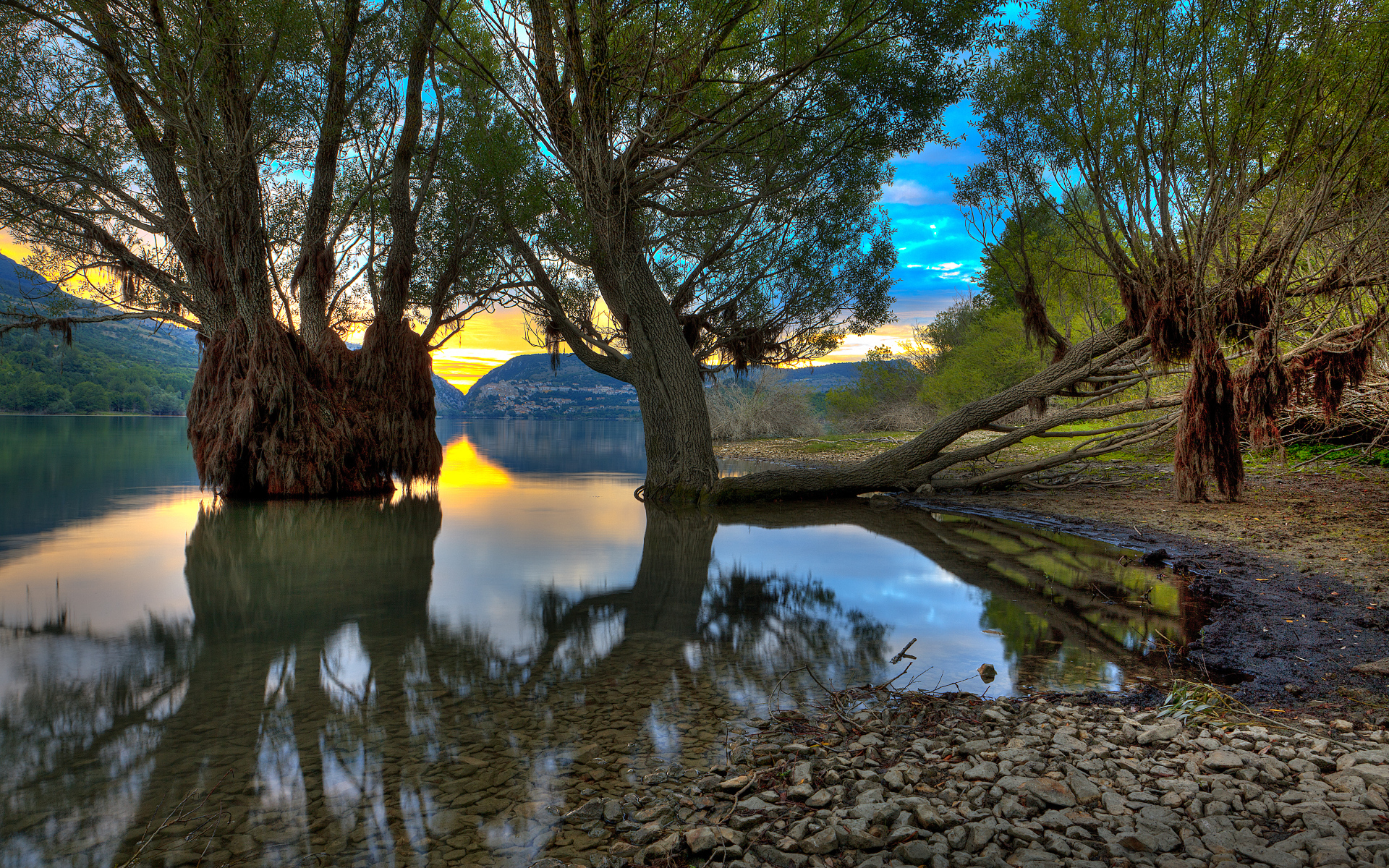 Деревья в озере, Абруццо, Италия