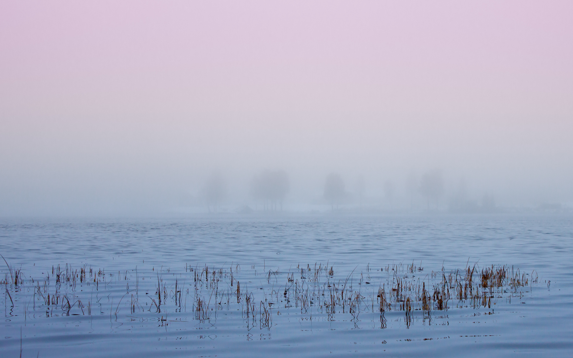 Туман в Швеции