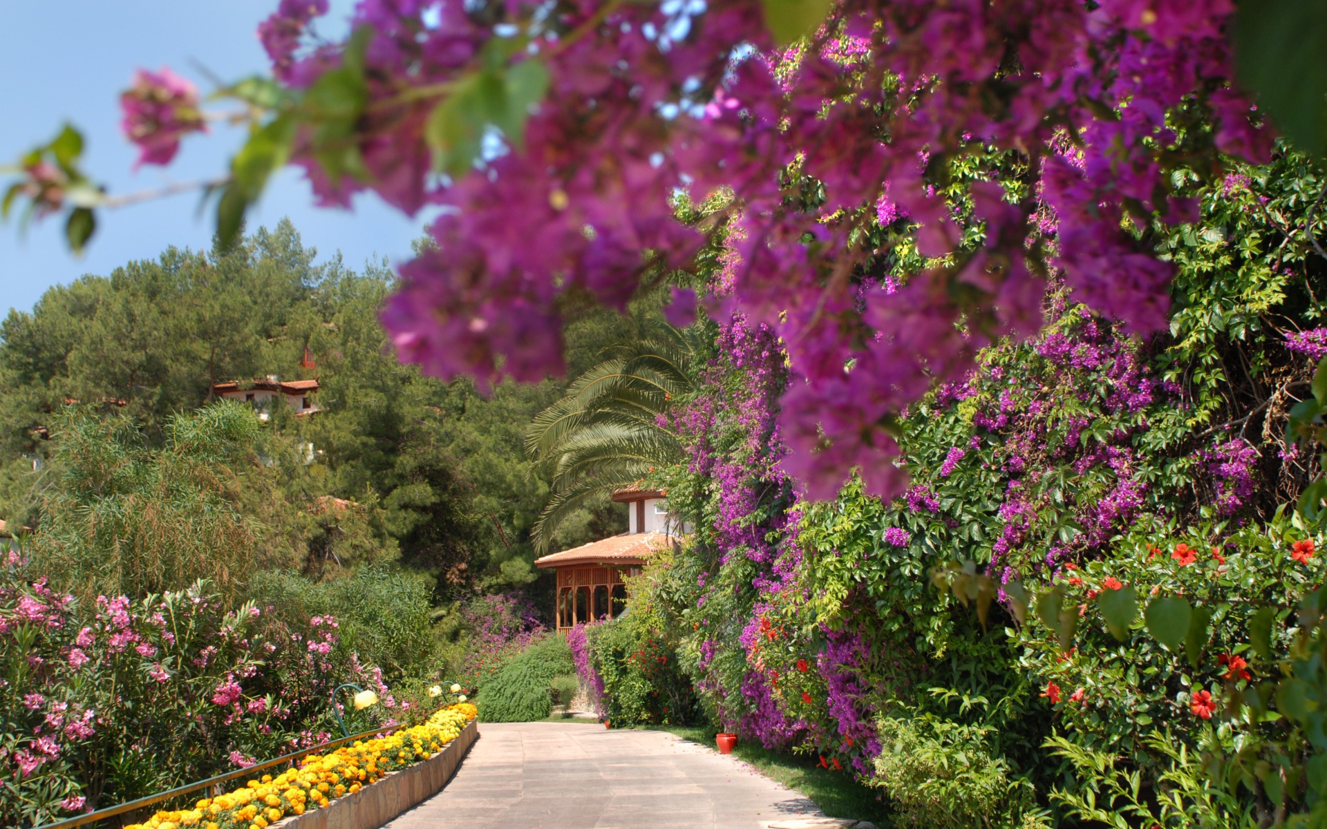 На курорте Фетхие, Турция