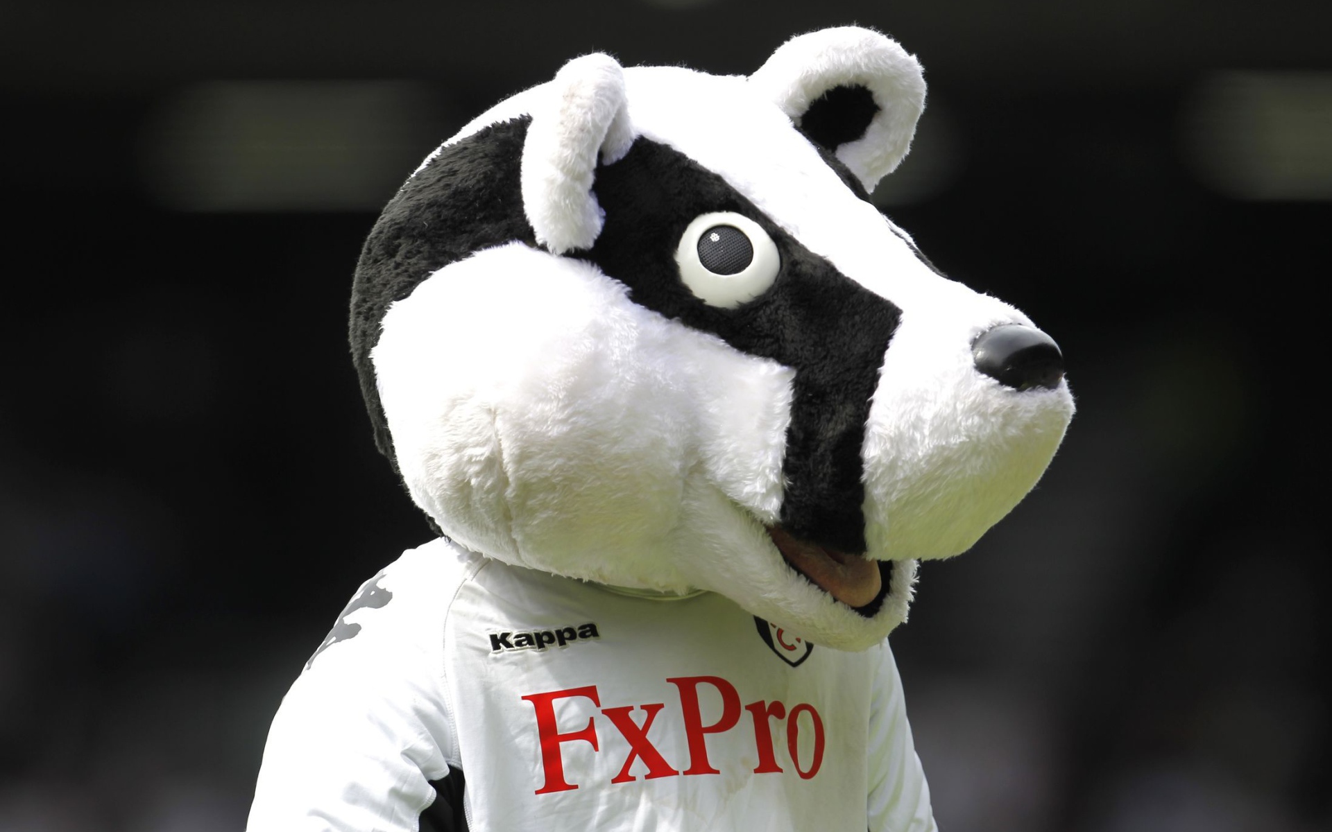 Лучший Футбольный клуб Фулхэм