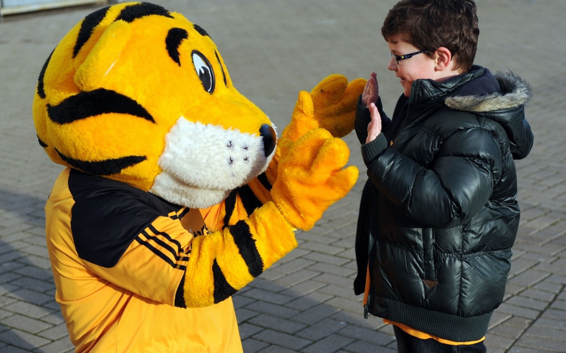 Знаменитый футбольный клуб Халл Сити