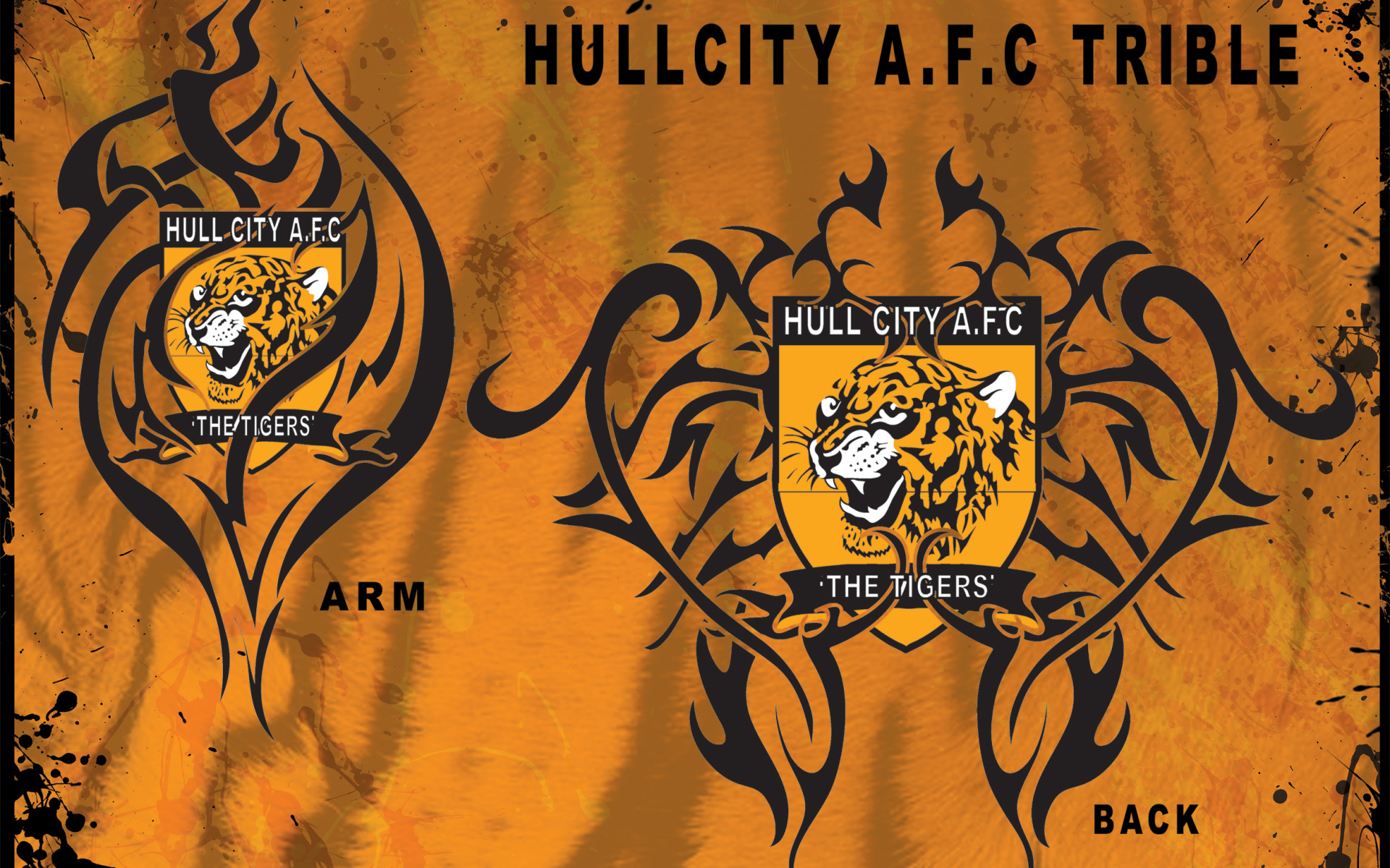 ФК Халл Сити