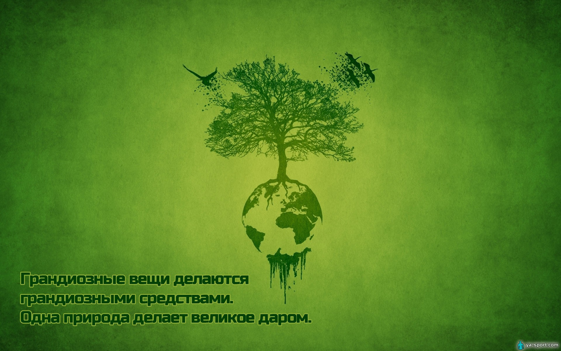 Сила природы для всех