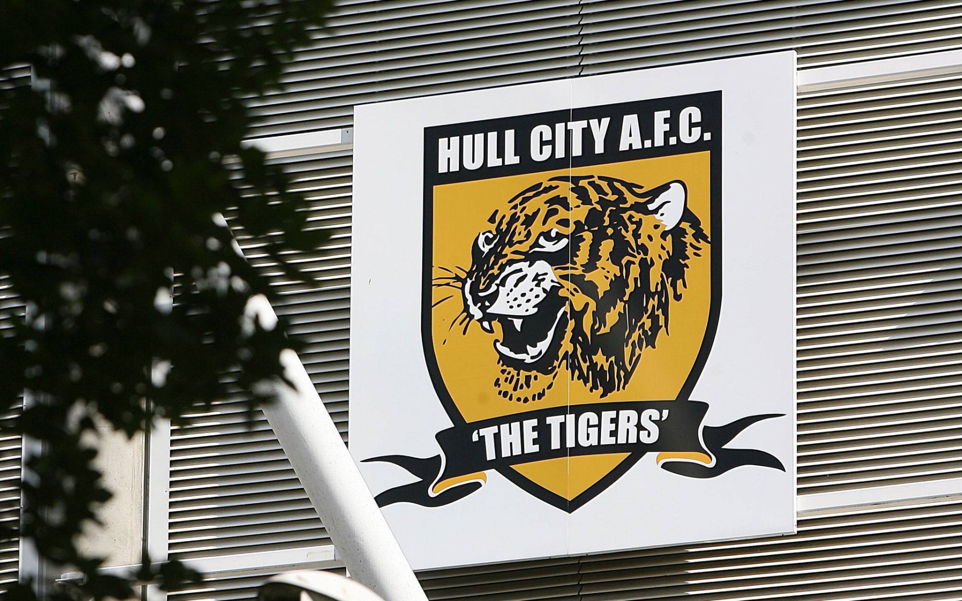 Халл Сити тигры