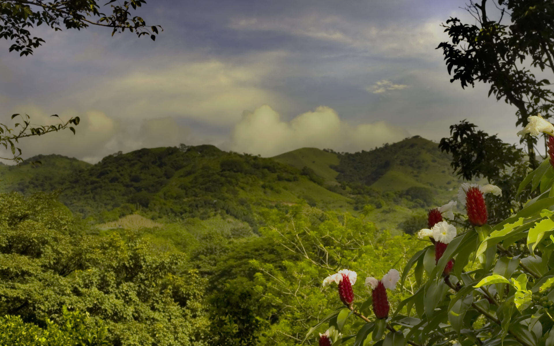 Пейзаж на Коста-Рика